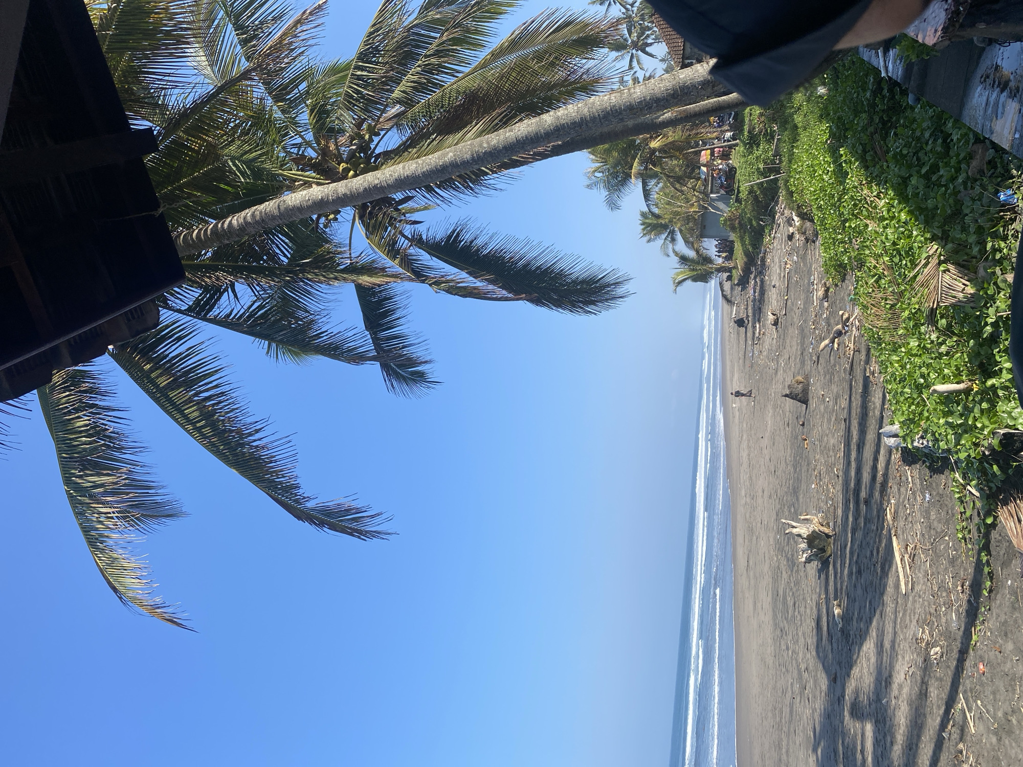The image depicts a tropical beach scene in Pekutatan, Indonesia, characterized by a wide expanse of dark sand meeting the gentle waves of the ocean under a clear blue sky. Prominently featured are several palm trees, their fronds reaching towards the sky, with one large palm leaning over the sandy shore, casting a shadow. Scattered debris, including driftwood and organic material, litters the beach, suggesting a natural and somewhat untamed environment.
In the middle ground, a solitary figure is visible walking along the shoreline, their presence minimal against the vastness of the beach. Further back, a small cluster of buildings, possibly shops or accommodations, are situated behind a line of lush green vegetation and more palm trees. Several motorcycles are parked near the buildings, indicating some local activity. The overall impression is one of a serene, tropical coastal setting with a touch of local life.