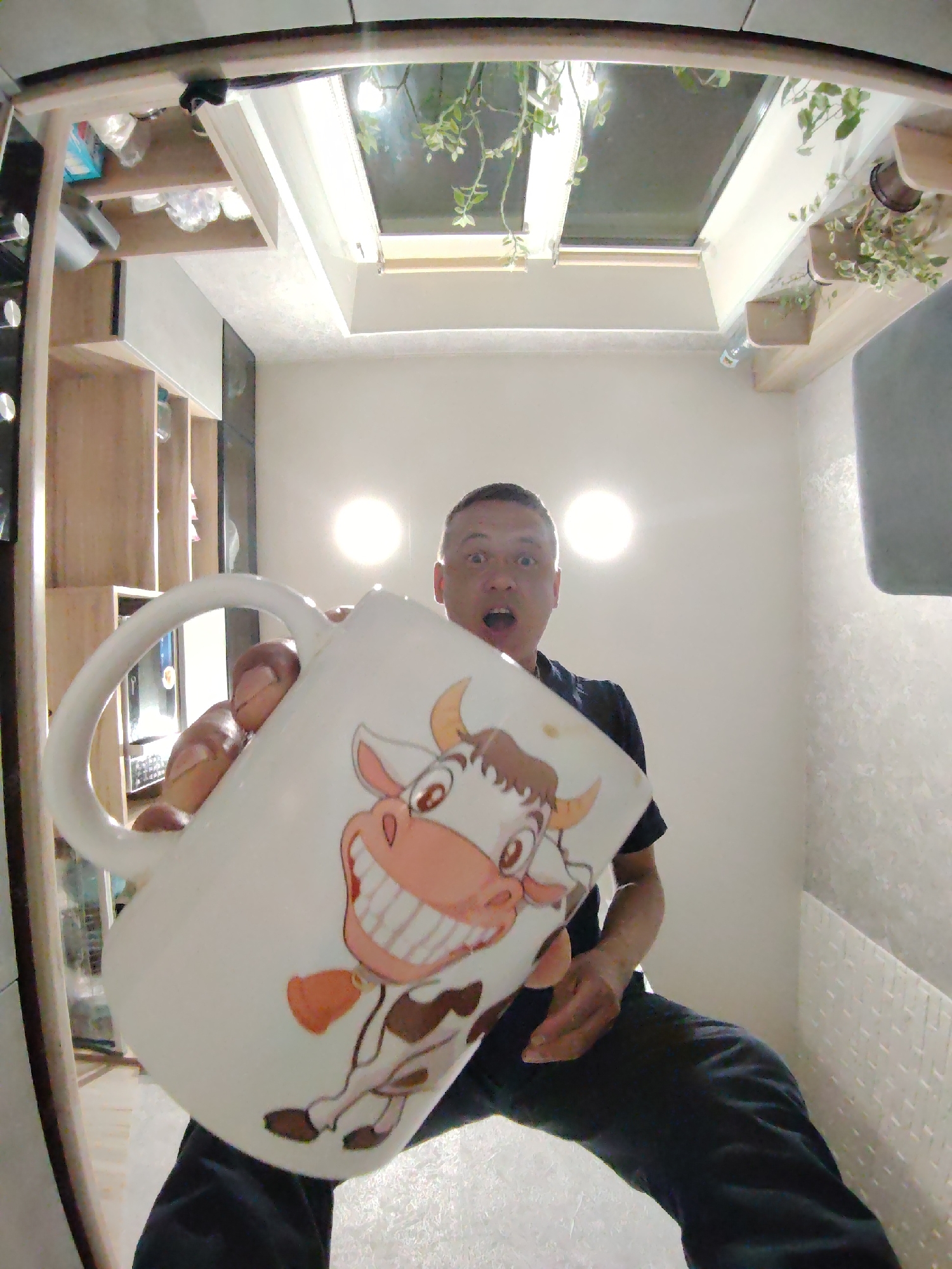 A man is holding an oversized mug with a cartoon cow on it. The man is indoors in a well-lit room with a skylight. The room is in Chaikovsky, Russia.