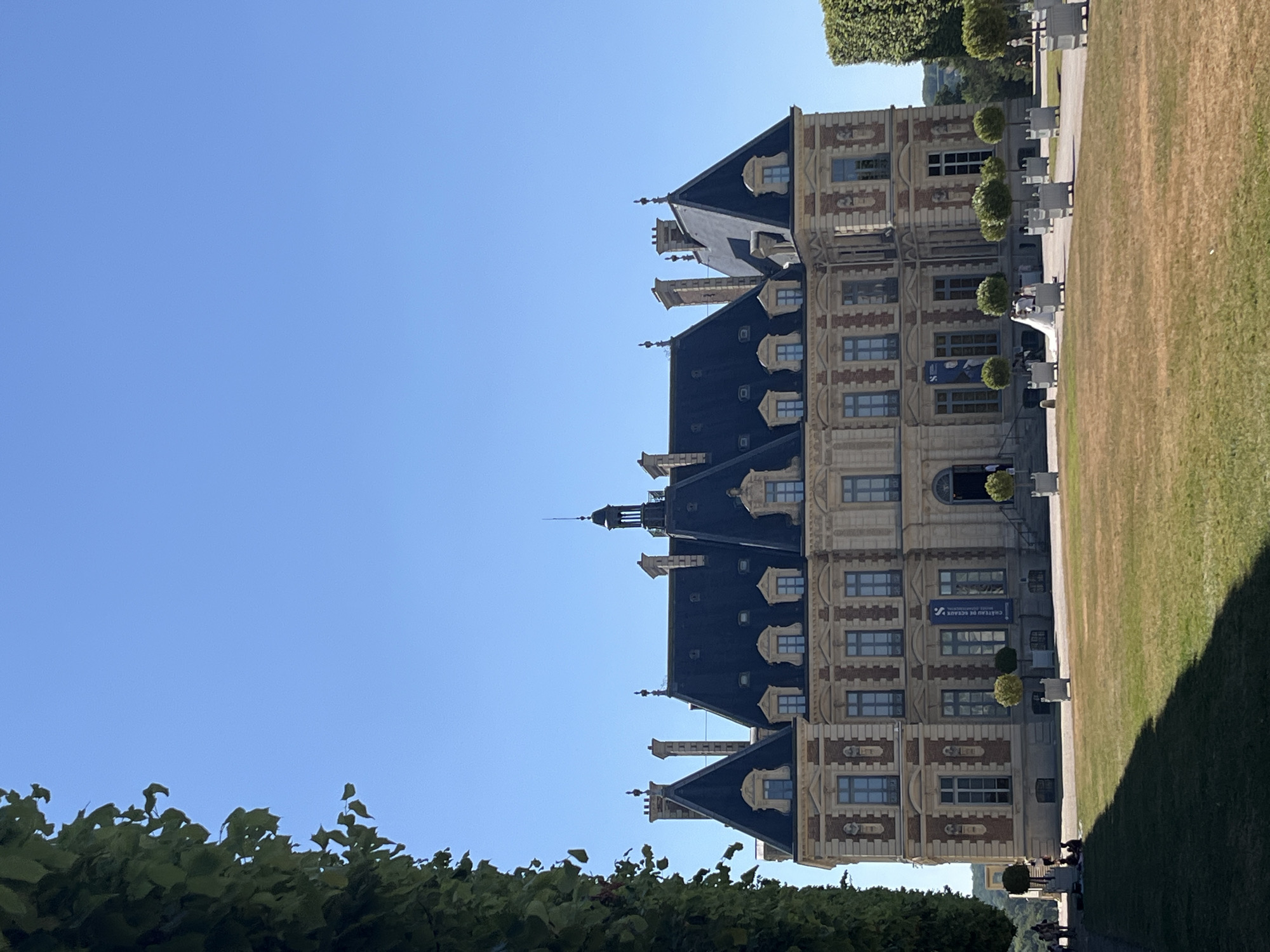 In Sceaux, France, a grand Chateau de Sceaux stands under a clear blue sky, bathed in sunlight. The Chateau, constructed with a combination of brick and stone, features a dark, mansard roof punctuated by numerous dormer windows and ornate chimneys. A prominent central tower with a cupola rises above the main structure. In front of the chateau, a manicured lawn stretches towards a paved walkway. Several small, rounded trees in square planters are strategically placed along the walkway. Towards the left side of the image, lush green foliage partially frames the scene, casting a shadow on the foreground lawn. On the lawn, a few individuals are seated, and to the right, a wedding party, including a bride in a white gown, is visible near the Chateau entrance. The backdrop includes distant trees and hills.