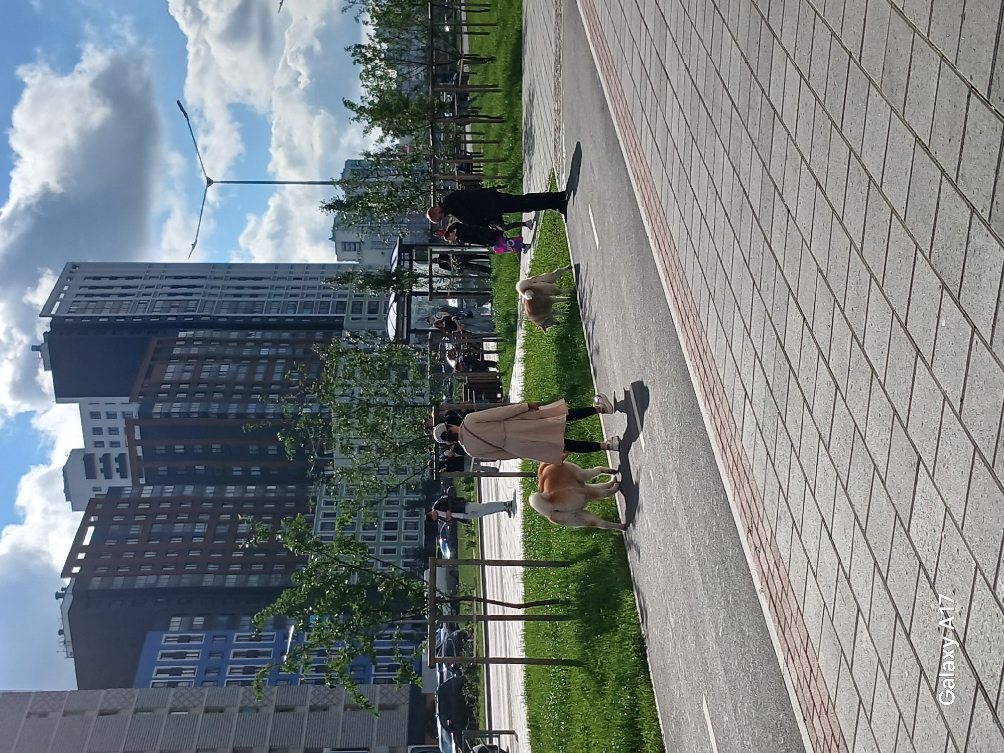 In Yekaterinburg, Russia, a wide paved pathway, likely a bike lane with a pedestrian section, runs alongside a manicured green space with young trees. In the background, several modern, multi-story residential buildings dominate the skyline. On the pathway, a woman in a light-colored trench coat and dark pants walks two large dogs, one with light brown fur and a bushy tail, the other further ahead and partially obscured. To the right, a man in a dark suit stands with his back to the camera, observing the scene. Further in the background, near a bus stop shelter, several other individuals are visible. The sky above is partly cloudy, with fluffy white clouds against a blue sky. The paved walkway is made of grey square tiles bordered by a red and grey pattern.