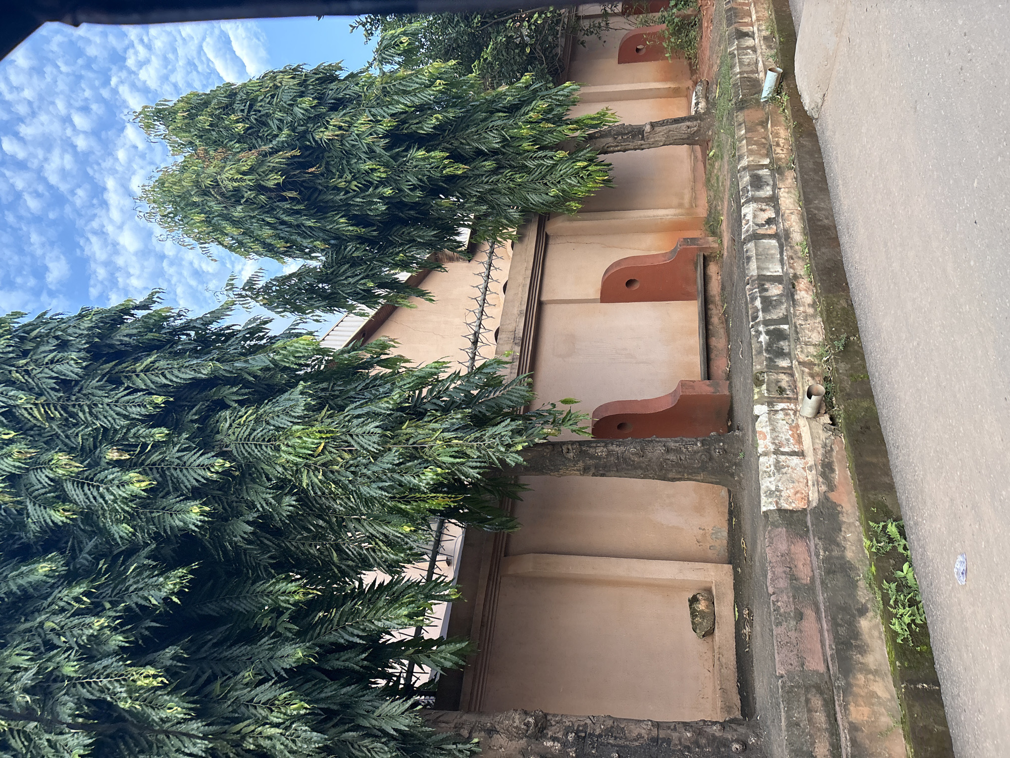 The image depicts a street scene in Onitsha, Nigeria, featuring a textured peach-colored wall with an ornamental barbed wire topping. Two tall, dense green trees stand in front of the wall, their foliage cascading downwards. The wall has two distinct cutouts, each housing a reddish-brown decorative element. A narrow concrete bench is positioned in front of the wall between the trees. The ground in front of the wall is a mix of dirt and grass, with a raised brick border along the edge of the paved road. A drainage pipe protrudes from the brick border. The sky above is a vibrant blue, dotted with fluffy white clouds. The road itself appears to be asphalt. The overall scene suggests an urban environment with some natural elements.
