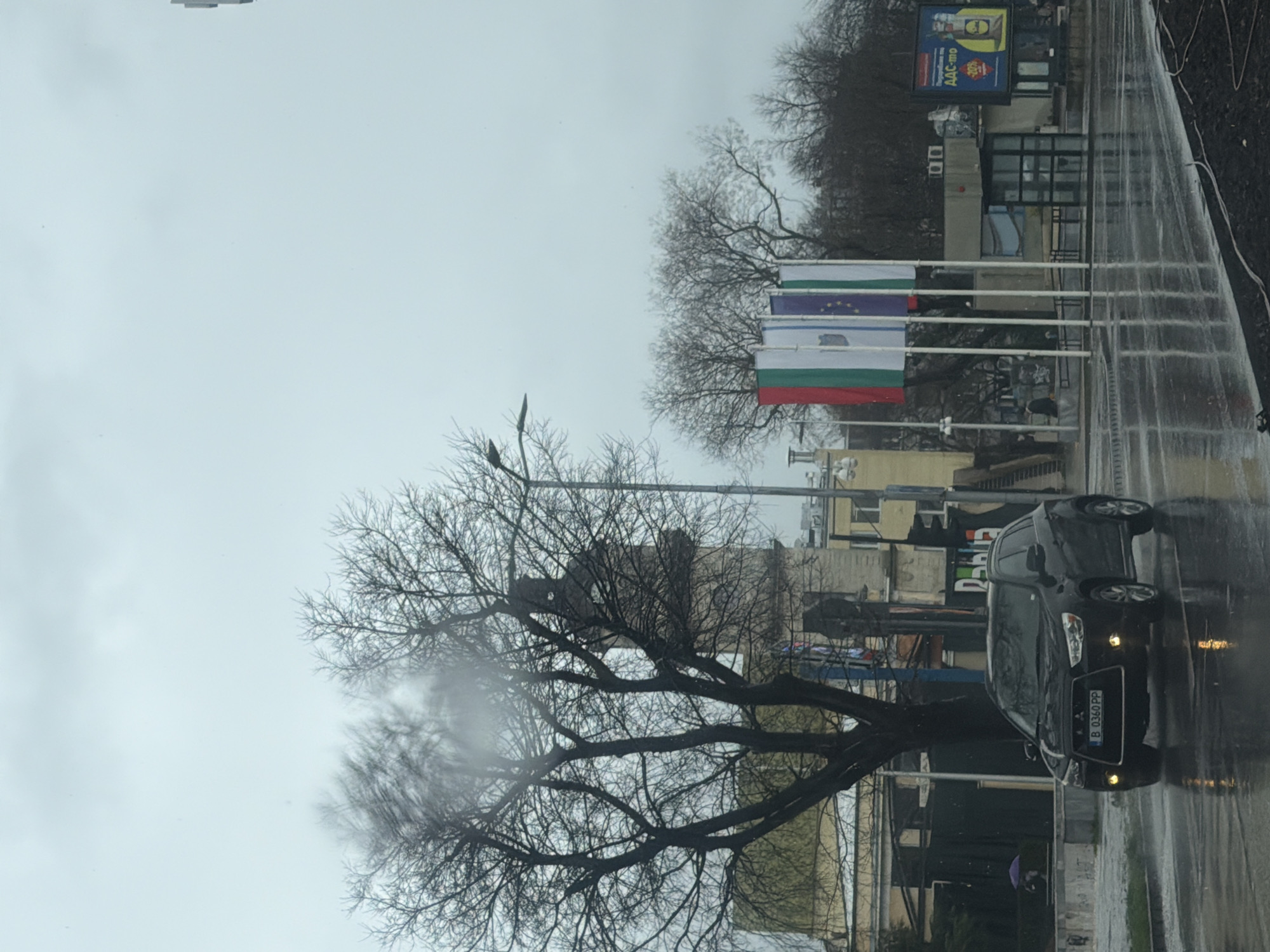 On a wet, overcast day in Varna, Bulgaria, a black car with license plate "B 0360 PP" is seen parked on a rain-slicked street. Flags of Bulgaria, the European Union, and other unidentified flags are hoisted on poles in the background, partially obscured by bare trees. An advertisement sign and other buildings line the street behind the flags. A person holding an umbrella is visible on the sidewalk.