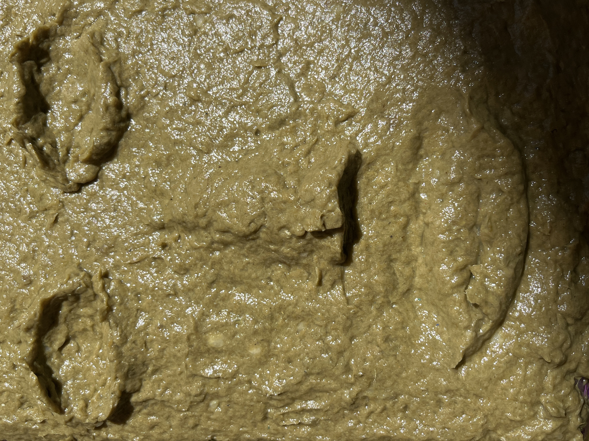 This close-up, top-down image features a thick, viscous, and textured greenish-brown substance, possibly mud or sludge. The surface of the material is highly irregular, displaying numerous lumps, ridges, and folds. It has a wet or moist appearance, with bright, glinting highlights reflecting light, suggesting strong illumination, possibly daylight.
Prominently visible are several indentations or impressions within the substance. In the upper left, a distinct, deep impression resembling a footprint or paw print is apparent, characterized by its oval shape and raised edges. A less defined, elongated indentation is also present towards the right side of the frame, hinting at another mark made by an object pressing into the material. A third, partial impression is located in the bottom left corner.
The overall color palette is dominated by muted olive green and brown tones. The image captures the static state of these impressions, suggesting a past activity rather than an ongoing one. No specific people, animals, or external objects are visible within the frame, only the textured substance and the marks left upon it. There is no visible text. While the location context is Barcelona, Spain, no specific geographical or architectural cues from the city are present in the close-up.
