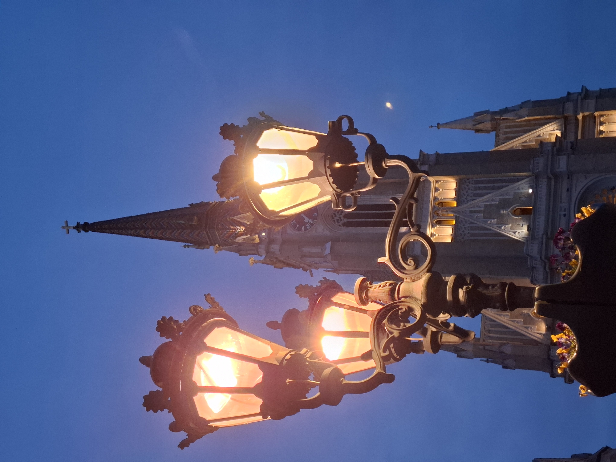 The image shows a nighttime view of the Roman Catholic Name of Mary Church in Novi Sad, Serbia. Two ornate street lamps are in the foreground, emitting a warm glow. The church's facade and spire are visible behind the lamps, illuminated by artificial light and the moon. The sky is a dark blue. Flowers are positioned in the lower right of the shot.