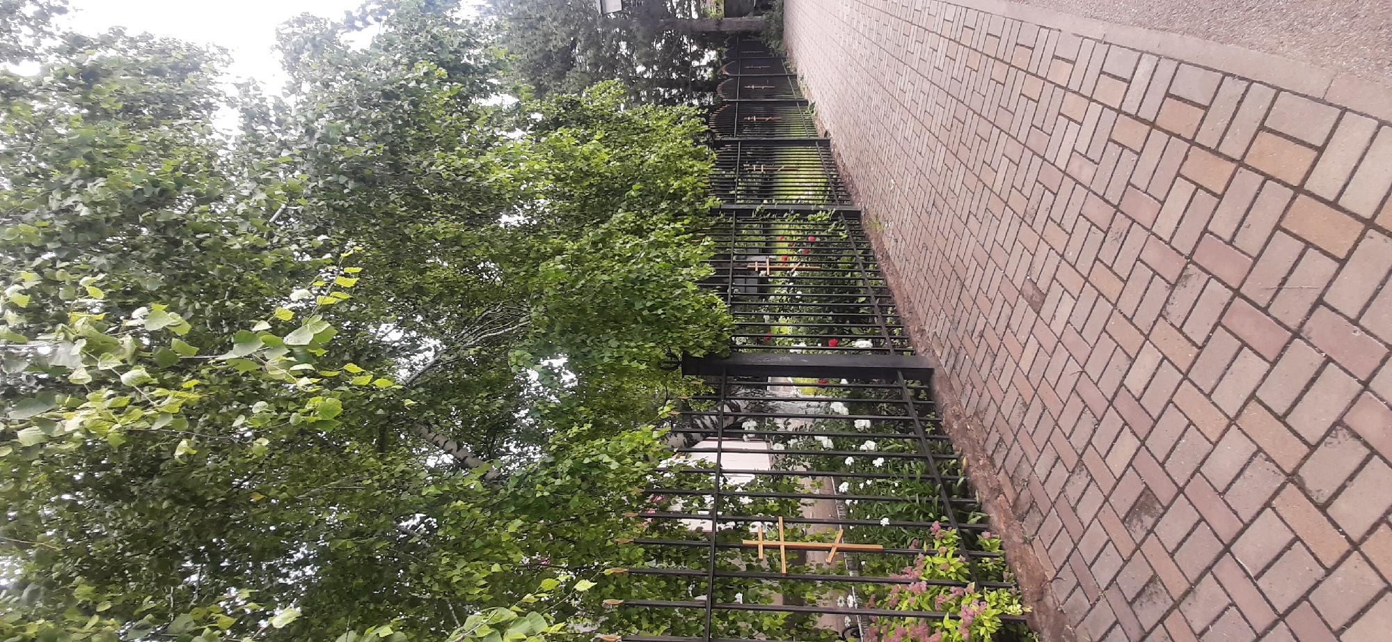 The image depicts a paved walkway with a brick pattern, bordering a black metal fence. Beyond the fence, there is a garden with flowers and trees. Two wooden crosses are visible attached to the fence. The scene is likely in a cemetery or memorial park, given the presence of crosses and flowers. The overall setting is outdoors, with lush greenery and a cloudy sky. The image's context suggests it is located in Yessentukskaya, Russia, potentially a place of remembrance.