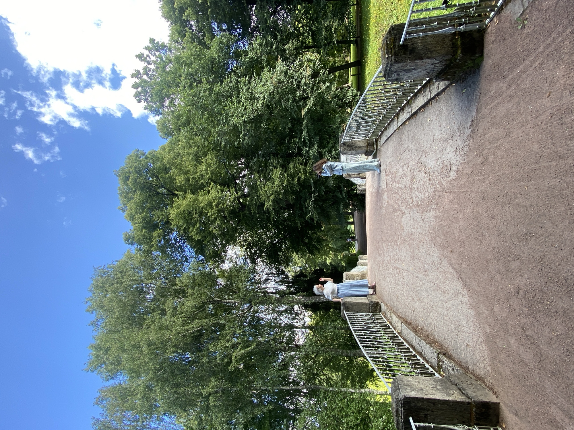 The image depicts an arched bridge in a park setting. Two individuals are present on the bridge. On the left, an older woman with gray hair, wearing a light blue dress and a white top, stands facing away from the camera, appearing to take a photograph. On the right, a younger person, wearing a light blue denim outfit, also faces away from the camera, holding what appears to be a camera or phone. The bridge has a reddish-brown surface and is flanked by ornate white metal railings and stone pillars. Lush green trees form a dense canopy on either side of the bridge, with a clear blue sky dotted with white clouds overhead. In the distance, another person can be seen walking on a path. This scene is located in the Pavlovsk Park, a historic park and former imperial summer residence in the city of Pavlovsk, Russia, near Saint Petersburg.