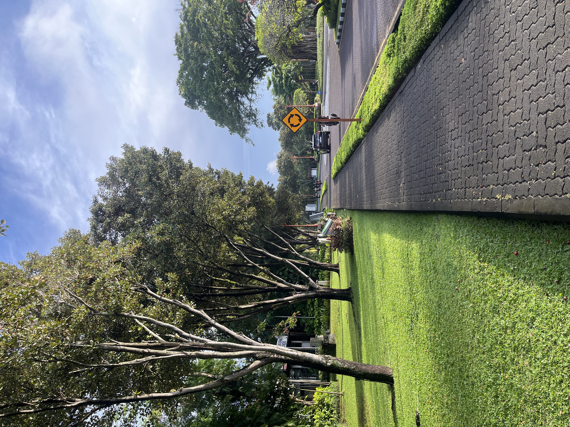 This image captures a well-maintained outdoor scene, likely a streetscape or park pathway, under bright daylight. The main subjects are a paved road, a patterned sidewalk, lush green grass, and numerous trees.
In the foreground and extending along the left side, a row of mature trees with dark green foliage and prominent branching trunks lines a wide expanse of neatly mown grass. The grass appears vibrant and healthy. To the right, a dark grey, interlocked paver sidewalk runs parallel to a paved road. The road surface is dark asphalt, with a faint yellow line visible along its edge.
Further down the road, a notable yellow diamond-shaped traffic sign with a black border and a circular arrow symbol indicates a roundabout or circular traffic flow. A dark-colored vehicle, possibly an SUV or van, is visible on the road near this sign. Other vehicles appear as indistinct shapes in the distance. The sky above is bright blue with scattered white, wispy clouds, suggesting clear and sunny weather, likely late morning or early afternoon. The overall impression is one of a clean, green, and orderly environment, consistent with a well-kept public area in a tropical setting such as Kuta Selatan, Indonesia. No discernible human activity or legible text (apart from the symbolic traffic sign) is present.