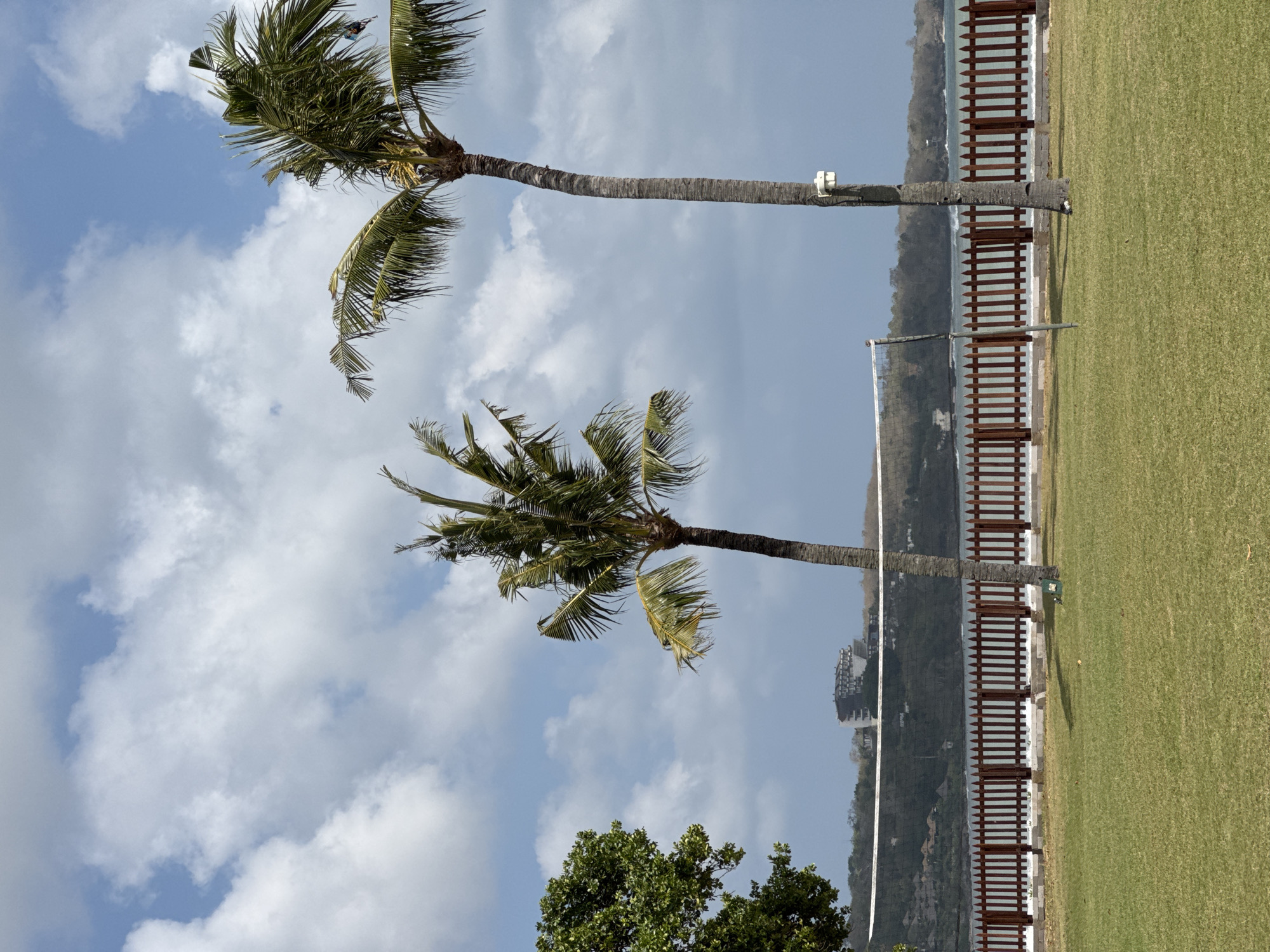 The image depicts a scene on a sunny day in Kuta Selatan, Indonesia. In the foreground, a well-maintained green lawn is visible. Beyond the lawn, a wooden fence with pointed pickets runs horizontally across the frame, separating the grassy area from a beach. A volleyball net is set up behind the fence, with poles supporting it on either side.
Two palm trees are prominent in the middle ground. The tree on the right is taller and straighter, with its trunk showing a rough, textured bark. A small white device is mounted on its trunk. The palm tree on the left is shorter and slightly more curved, with its fronds fanning out. To the far left, the dense green foliage of another tree is visible.
In the background, the ocean stretches to the horizon, with gentle waves breaking near the shore. Across the water, a hilly coastline is dotted with buildings, including what appears to be a multi-story hotel or resort. The sky is a vibrant blue, filled with fluffy white clouds, suggesting pleasant weather. The overall impression is one of a tropical resort or public beach area. No people are clearly visible in the image.