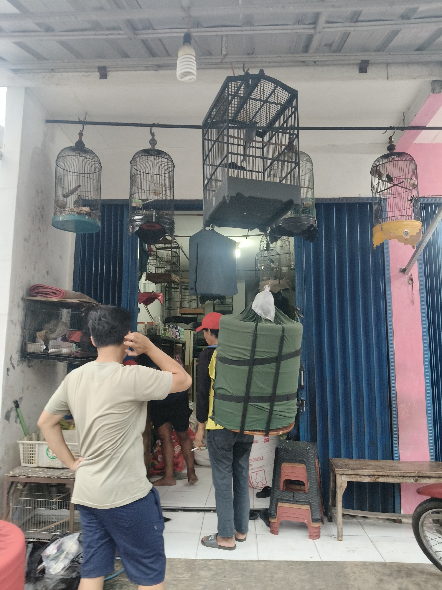 The image depicts a street scene in front of a shop in South Tangerang, Indonesia. Several bird cages are hanging from the ceiling. Two men are visible in the foreground. One man, wearing a light-colored t-shirt and dark blue shorts, is standing with his back to the camera, scratching his head. The other man, wearing a yellow and black shirt and dark pants, is carrying a large, green, tarp-covered object on his back, possibly a backpack or a covered cage. In the background, a blue accordion door is visible, along with a pink and white striped wall. Various items, including plastic baskets and a wooden bench, are scattered around the area. A motorcycle wheel is visible on the right side of the image. The overall impression is that of a busy market or a shop selling birds.