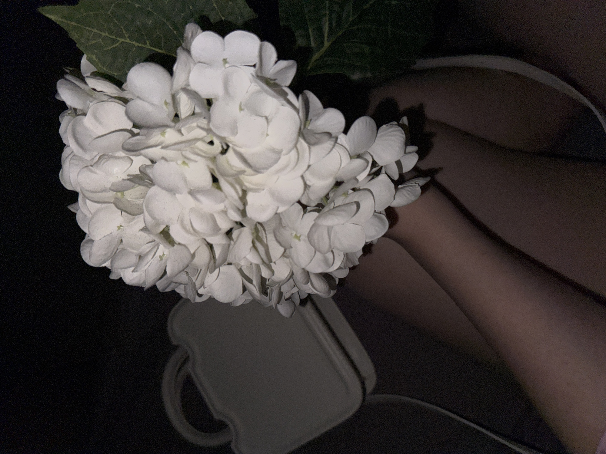 The image shows a bouquet of white hydrangeas with a few green leaves visible, held or resting near a light-colored purse or bag. The background is dark and indistinct, possibly a car interior, with a hint of a person's legs visible. No information about Chaikovsky, Russia, is discernable.