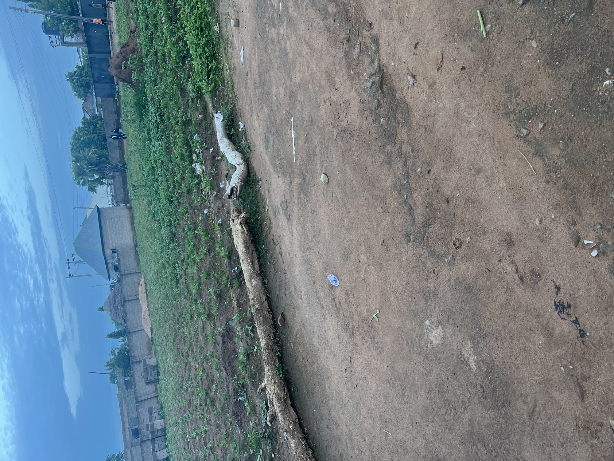 The image depicts an outdoor scene in Jalingo, Nigeria, characterized by a dirt path in the foreground leading towards a field of green crops. A large, weathered log lies horizontally across the path. In the middle ground, the cultivated field stretches out, with a rustic fence and some buildings visible in the background. The sky is cloudy, suggesting overcast conditions. There are no individuals actively engaged in any particular action.
