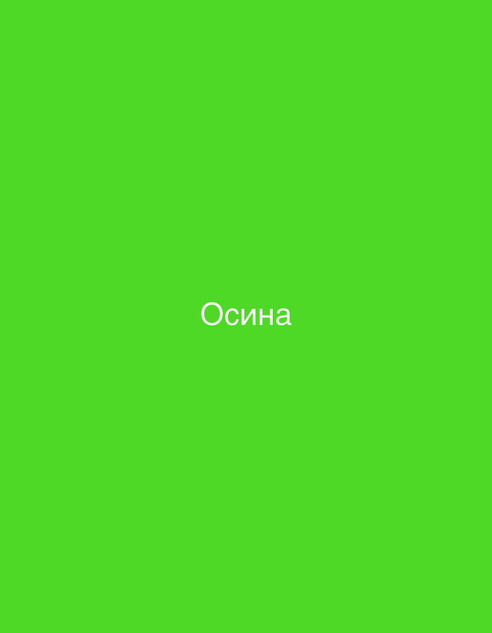 The image is a bright green, solid color background with the word "Осина" written in white text in the center. The word is in Cyrillic script and translates to "Aspen" in English. There are no other objects, people, or environmental details present in the image. It is not possible to determine the location in Gorzow, Poland from this image.