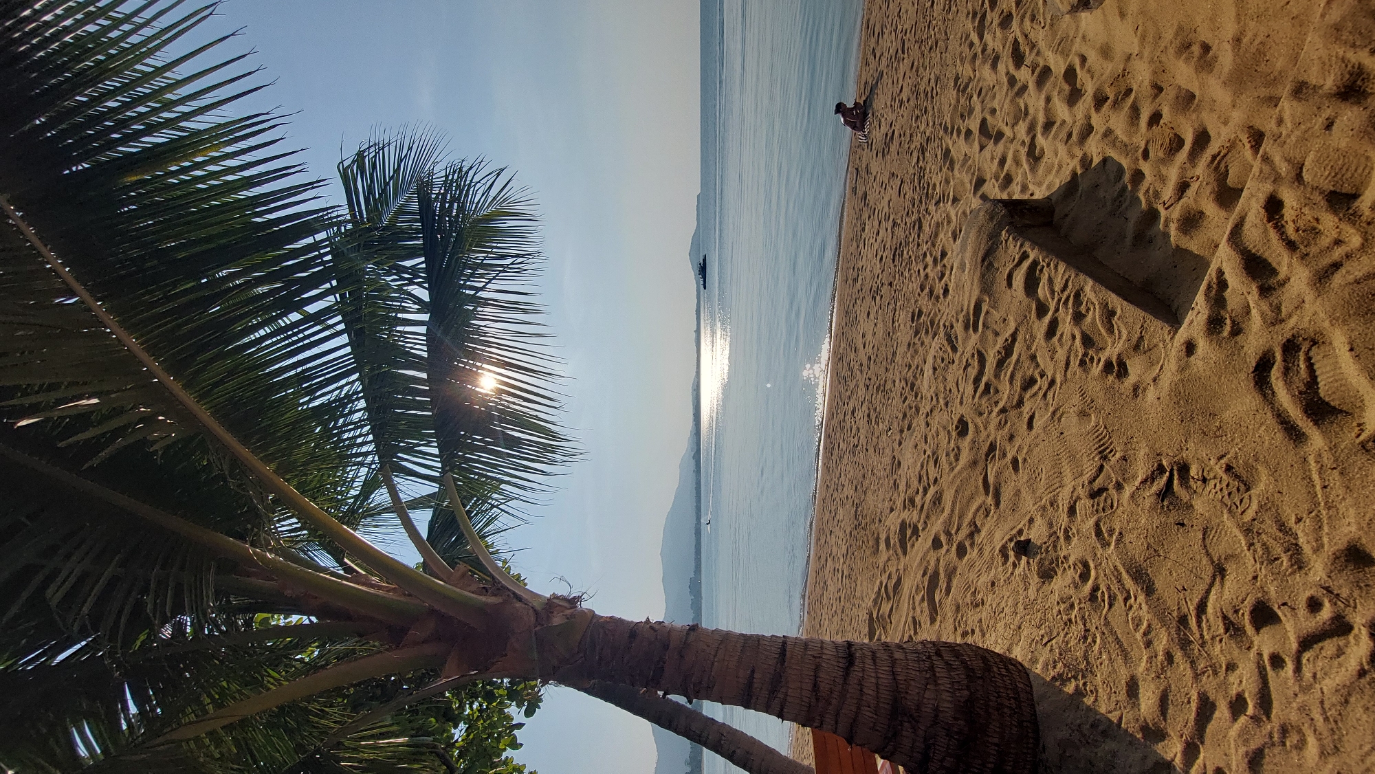 The image shows a beach scene in Baan Bo Phut, Thailand. In the foreground, there's a palm tree with its fronds partially obscuring the sun. The trunk of the tree is visible, along with some green foliage at its base. The middle ground features the beach with light brown sand, marked with footprints and a small structure partially buried in the sand. A person is sitting near the water's edge. The water appears calm and reflects the sunlight. In the background, there's a mountainous island and a boat in the water, beneath a pale blue sky.