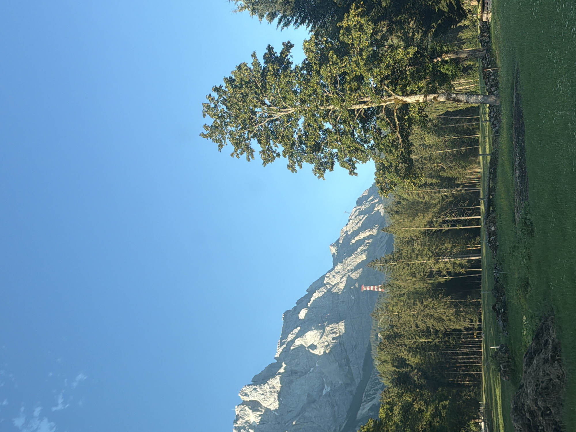 The image depicts a serene mountain landscape with a clear blue sky overhead. In the foreground, a lush green meadow is dotted with small white flowers and bordered by a low stone wall and wooden fence. A pile of dark, organic material is visible in the lower left corner of the frame. A prominent deciduous tree with full green foliage stands in the middle ground, casting a shadow on the meadow. Behind the meadow, a dense evergreen forest stretches across the frame, with tall, slender trees forming a natural barrier.
In the distance, a majestic mountain range dominates the horizon. The rocky slopes are illuminated by the sun, highlighting their rugged texture and dramatic contours. A red and white striped tower, possibly a communication or observation tower, is visible on the mountainside. The overall impression is one of natural beauty and tranquility. The presence of the tower suggests a degree of human infrastructure within this otherwise wild landscape, possibly indicating proximity to a town or tourist area. Given the visual cues of the mountains and the distinct tower, the location is likely near Grainau, Germany, a village known for its proximity to the Zugspitze, Germany's highest peak.