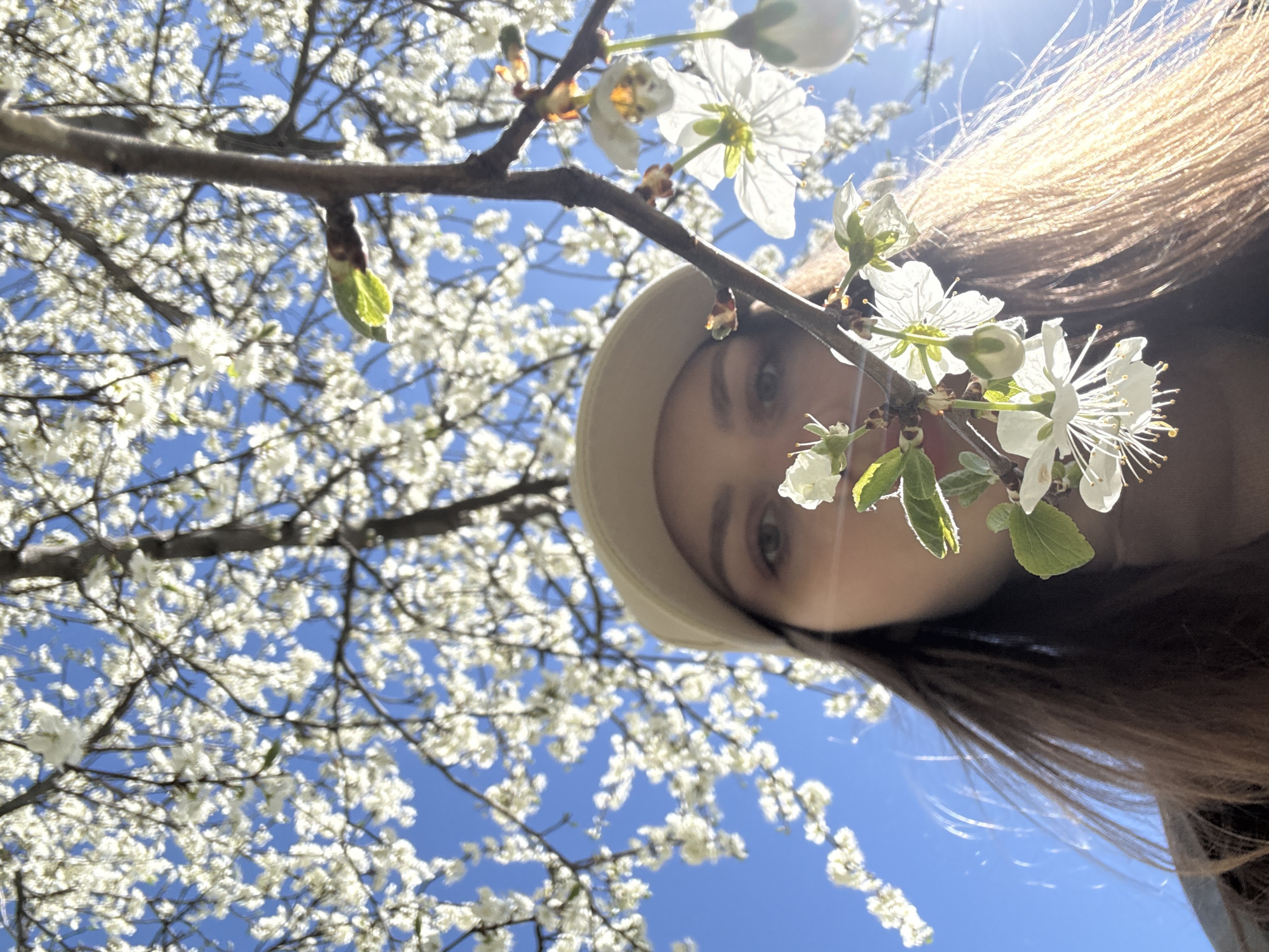 A low-angle, eye-level photograph captures a woman with light-brown hair wearing a tan hat. Her face is partially obscured by a blossoming tree branch with white flowers. The background is a clear blue sky, filled with other branches and flowers from the tree. The setting is likely outdoors, given the presence of natural light and plant life. The location in Saint Petersburg, Russia, is not evident in the image.