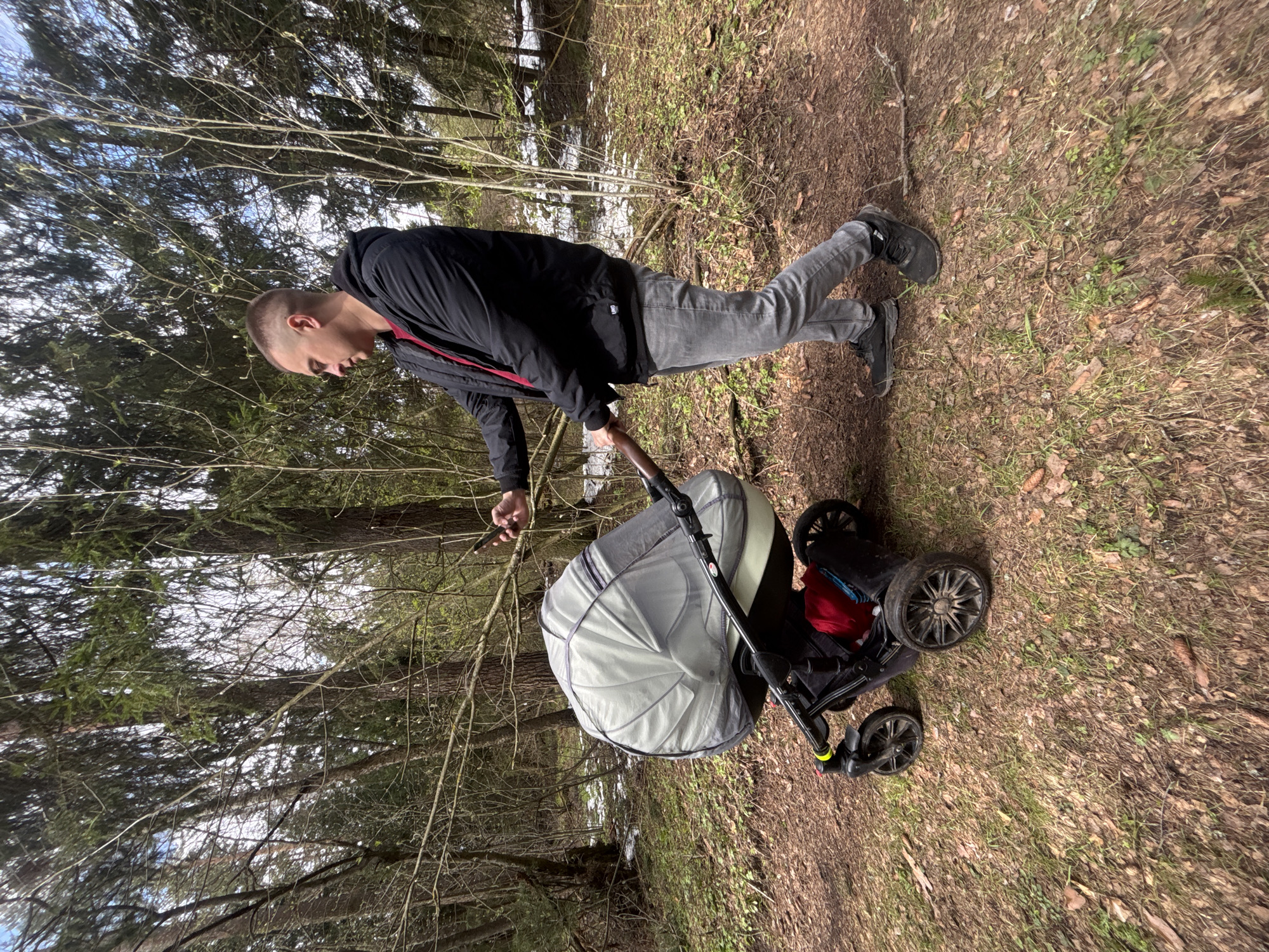 A man is standing on a ground covered with brown leaves and some green grass and pushing a gray stroller in what appears to be a forest setting near Раздолье, Russia. The man is wearing a black jacket, gray jeans, and black shoes. He has a short haircut. In his hand, he is holding a smartphone. Behind him, there are bare trees and remnants of snow on the ground. The sky is visible through the branches.