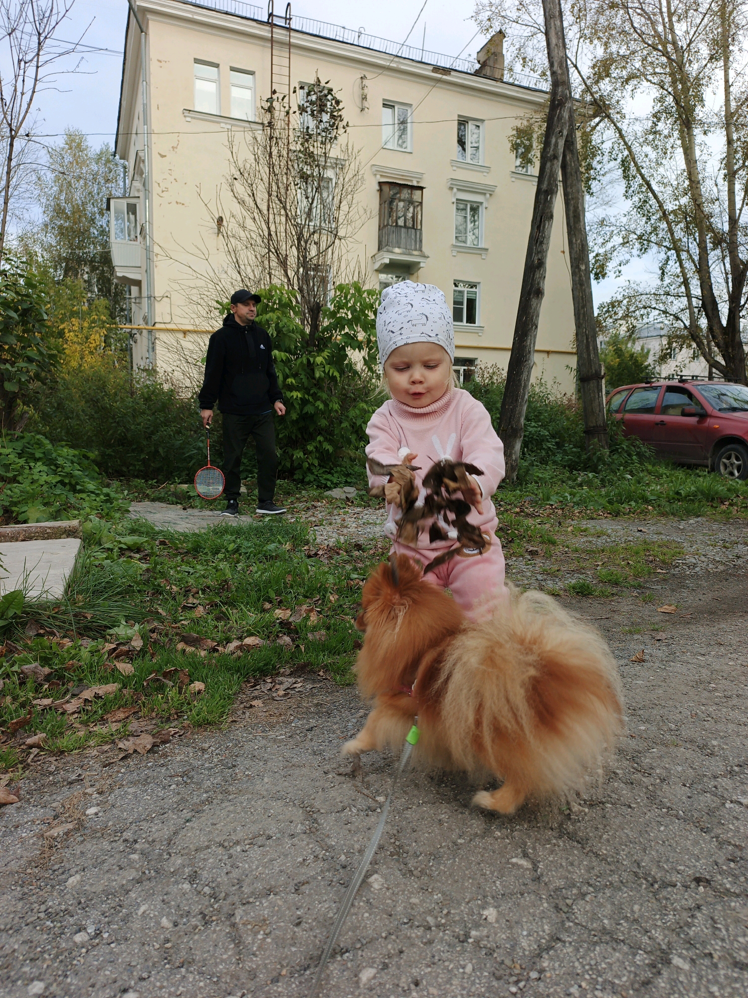 The image depicts an outdoor scene in Zlatoust, Russia, likely during autumn. In the foreground, a young child wearing a pink outfit and a patterned headscarf is interacting with a fluffy Pomeranian dog. The child holds a bundle of dried leaves in their hands. The dog is on a leash. Behind them, a man in a black hoodie and cap stands holding a badminton racket. In the background, a light-colored apartment building with several windows and a small balcony is visible, alongside trees with sparse foliage and a red car parked on the side of a gravel path. The ground is covered in gravel and fallen leaves.