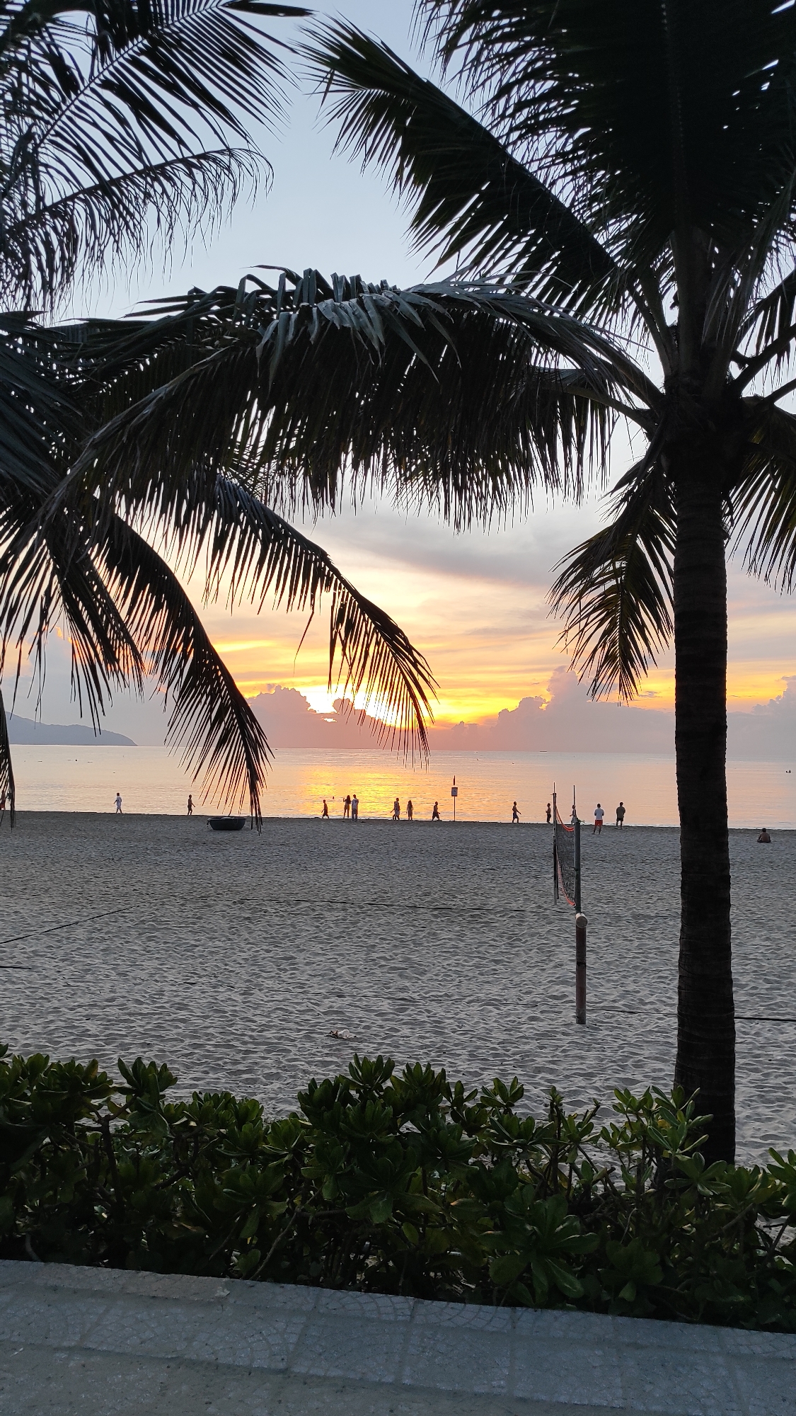 The image depicts a serene beach scene at sunset in Đà Nẵng, Vietnam, likely along the popular Mỹ Khê Beach. The sky is ablaze with hues of orange, yellow, and pink, reflecting on the calm ocean. Silhouetted against this vibrant backdrop are palm trees, their fronds framing the view. The sandy beach is dotted with a few individuals scattered along the shoreline, some appearing to walk or play. In the mid-ground, a volleyball net stands ready for a game, with a few people near it. The foreground features lush green foliage and a textured walkway, suggesting a well-maintained public area. The overall atmosphere is peaceful and idyllic, capturing the beauty of a Vietnamese coastal sunset.