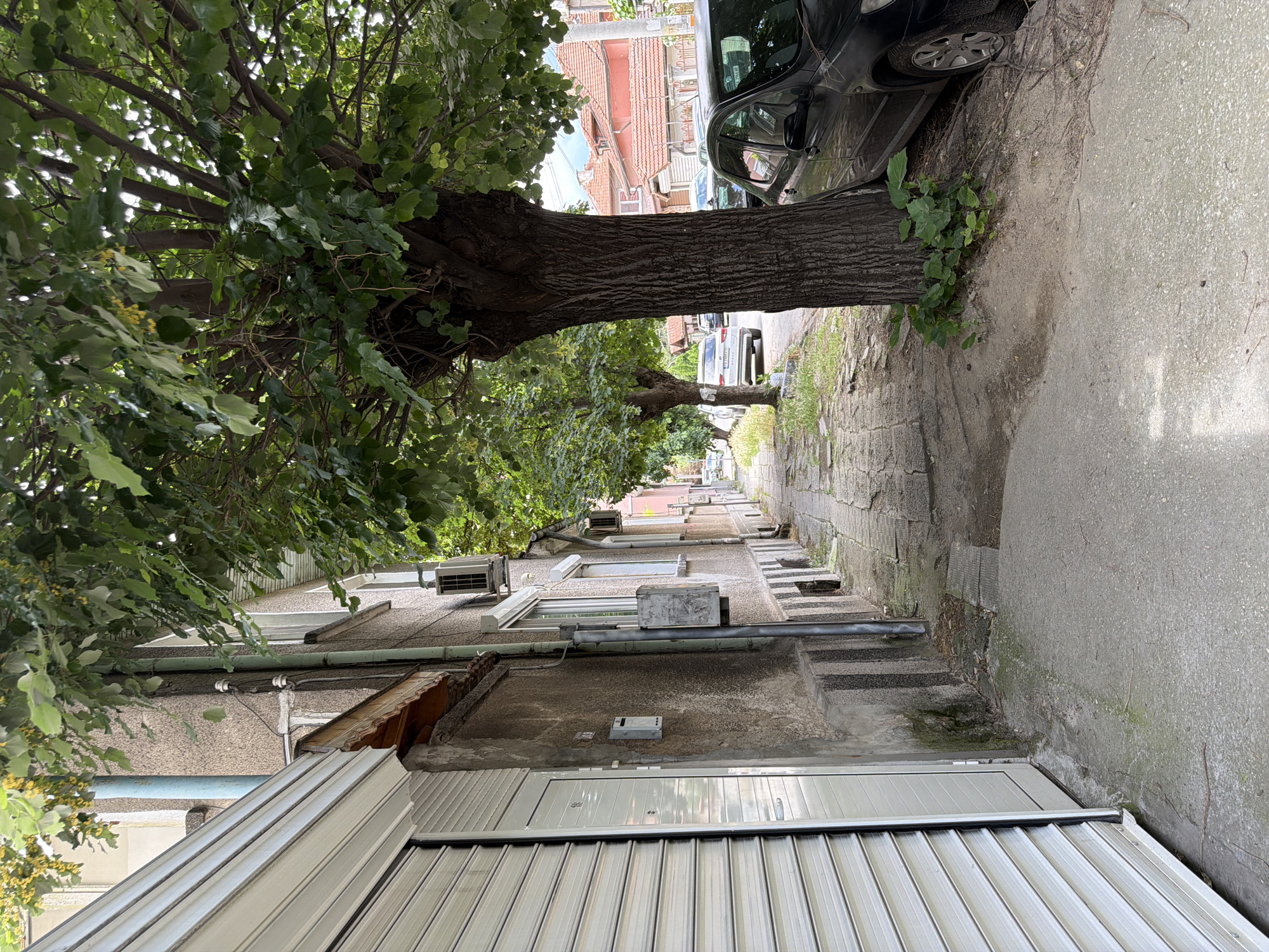 The image depicts a street scene in Pazardzhik, Bulgaria. On the left side of the frame, a building features a large, light-colored metal garage door and a textured grey facade with various pipes and electrical insulators attached. A narrow, paved sidewalk runs along the building. To the right of the sidewalk, a large tree with a thick, gnarled trunk dominates the foreground. Its branches are full of green leaves, some of which have small yellow flowers. Beyond the tree, a dark-colored car is parked on the side of the street. Further down the street, more cars and houses with red-tiled roofs are visible, suggesting a residential or mixed-use urban area. The pavement appears worn and uneven in places, with some patches of greenery growing in the cracks and along the edges. The overall impression is of a quiet, lived-in urban environment on a daytime.