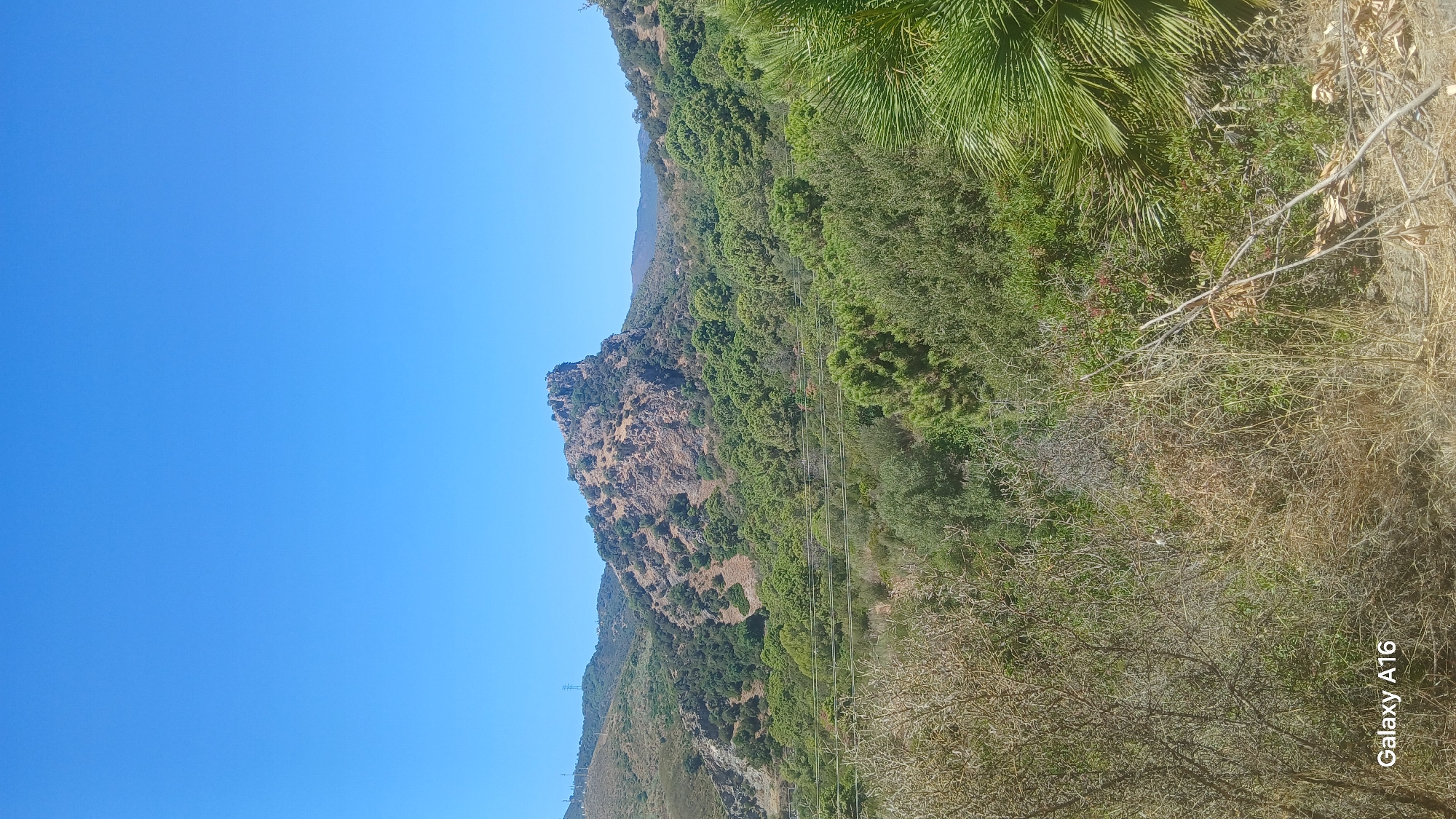 The image shows a mountainous landscape in Benahavís, Spain, under a clear blue sky. The foreground is filled with dry brush and some green foliage. In the mid-ground, there is a dense green forest. Behind the forest, a rugged, rocky mountain peak dominates the scene, with some sparser vegetation on its slopes. The background shows more hills fading into the distance, and power lines are visible on the left side of the image. The lower-left corner of the image contains the text "Galaxy A16".