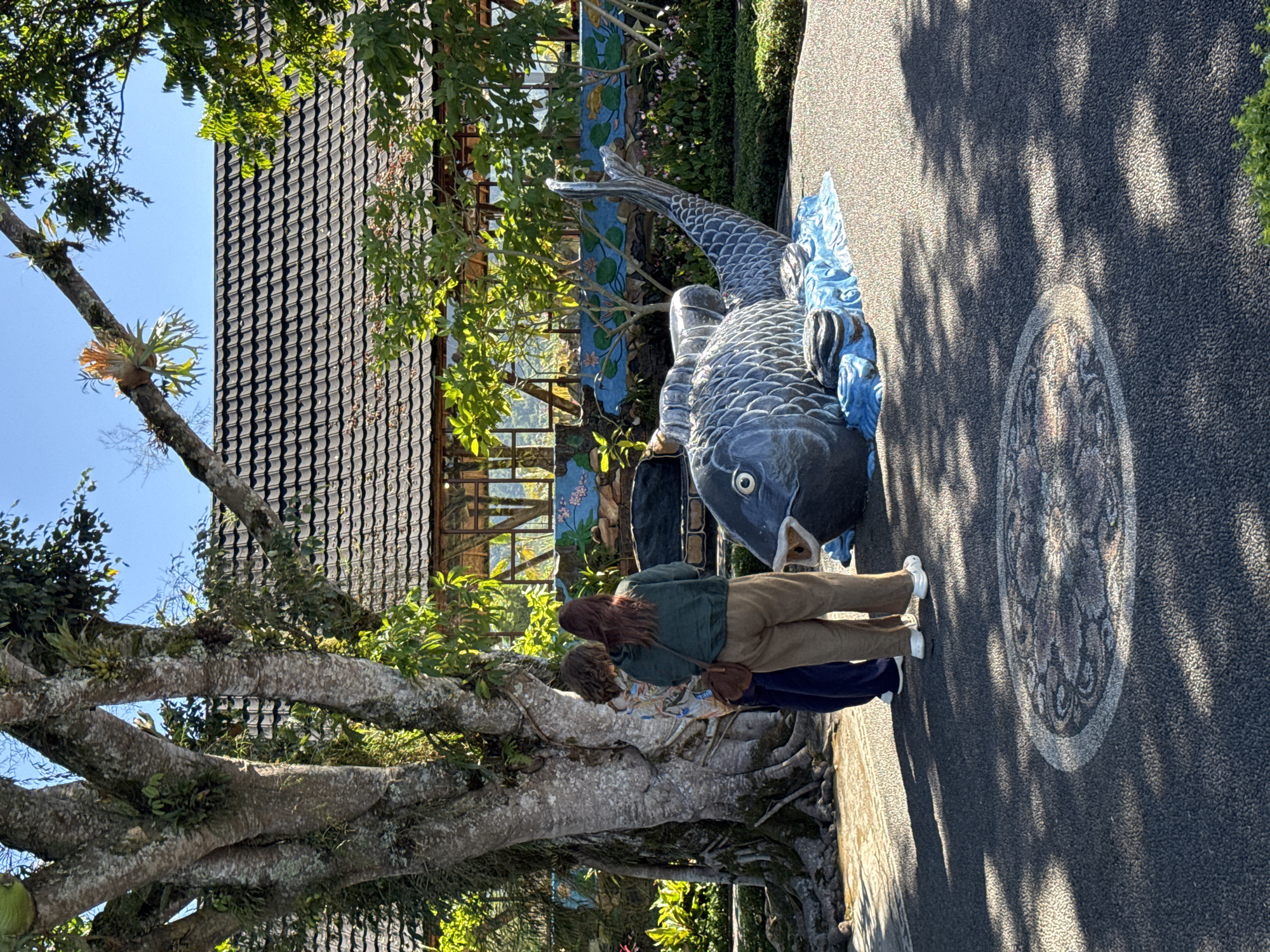In Baturiti, Indonesia, a life-sized koi fish sculpture rests on a blue, wavy base on a patterned paved area. Two individuals stand near a large, gnarled tree with aerial roots, facing the sculpture. Behind them, a building with a dark tiled roof and wooden-framed windows is visible, bordered by lush greenery and a colorful mural depicting aquatic scenes. The scene is bathed in bright sunlight, casting dappled shadows from the tree onto the pavement.