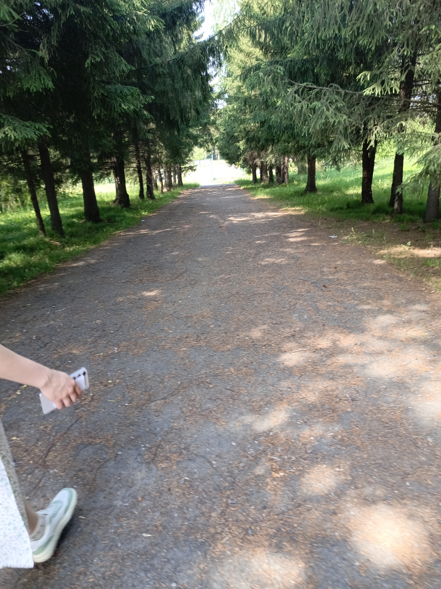 The image shows a pathway lined with tall coniferous trees, likely in a park or forest area. The pathway is made of gravel or asphalt and is partially covered with fallen pine needles. Sunlight filters through the trees, creating dappled shadows on the ground. In the foreground, a person's lower leg and arm are visible. The person is wearing a light-colored, possibly floral-patterned skirt and white sneakers with green accents. Their right hand is holding a silver smartphone. The scene suggests a leisurely walk on a sunny day. The location is identified as Zalesovo, Russia, implying an outdoor recreational setting.