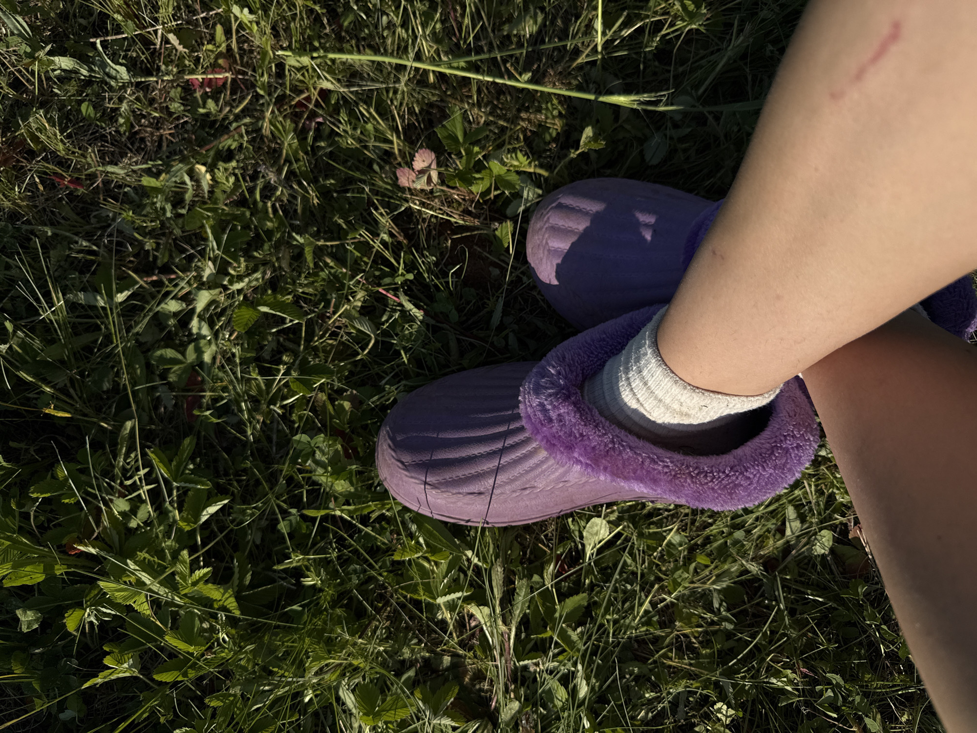 The image shows a person's legs wearing purple furry slippers and white socks, standing in a grassy area. The grass appears to be unkempt and is a mix of green and dry blades. The lighting suggests it is daytime, possibly late afternoon due to the shadows. There is no visible indication of the location being in the city of Doksha, Russia.