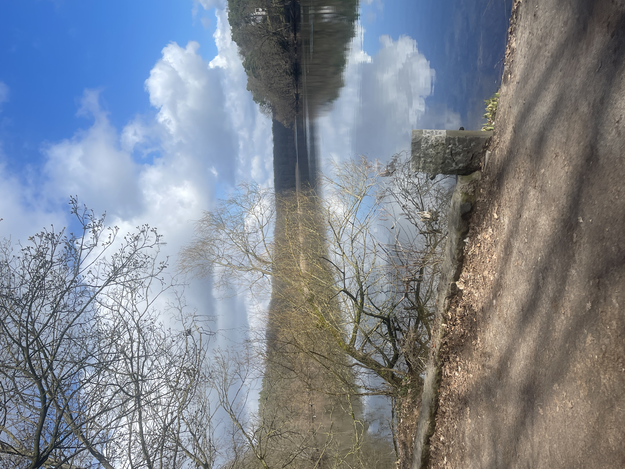 The image depicts a body of water reflecting a sky with scattered cumulus clouds. On one side of the water is a path with fallen leaves along the edge. Bare trees are prominent in the foreground. Across the water is a tree-lined bank. It may be located in Berlin, Germany.