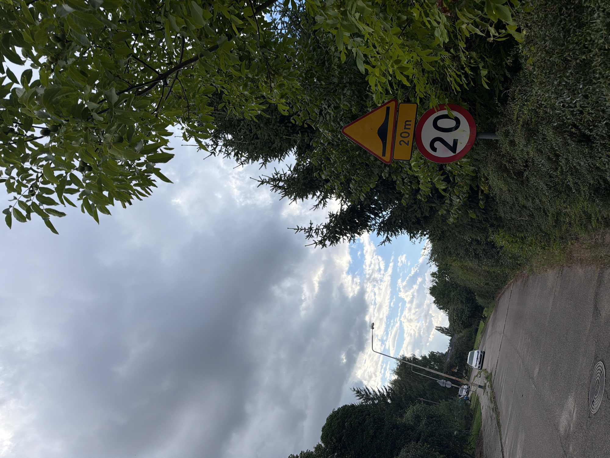 The image captures a street scene in Szczecin, Poland, under a cloudy sky. The foreground is dominated by lush green foliage, with a prominent tree on the right. A street sign, featuring a yellow triangle with a black hump symbol and the text "20m" below it, is visible, followed by a circular speed limit sign indicating "20" within a red border. To the left, a paved road curves into the distance, with a sidewalk alongside it. A white car and another vehicle are parked on the left side of the road. A lamppost stands on the left, and dense green bushes line the right side of the street.
