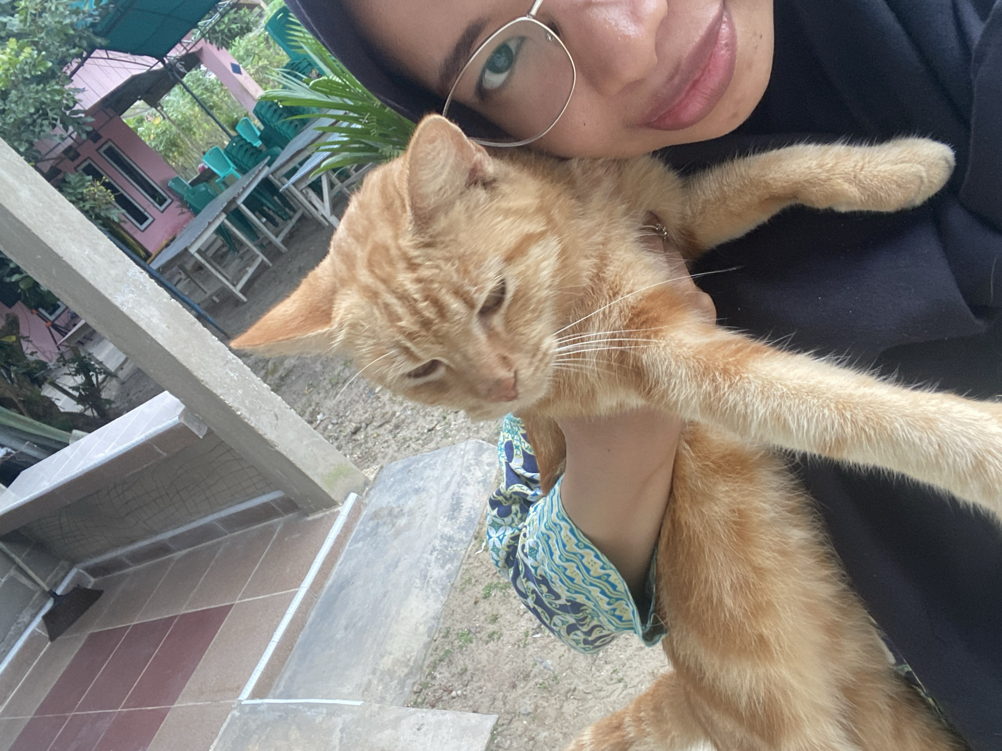 In Sekar Mawar, Indonesia, a person, wearing a headscarf and glasses, holds an orange tabby cat. The person is looking towards the camera, and the cat is looking to the side. The background shows an outdoor area with tiled flooring, gravel, and greenery. A building with pink walls and several green chairs is visible in the distance, suggesting a cafe or restaurant setting. The image captures a moment of interaction between the person and the cat.