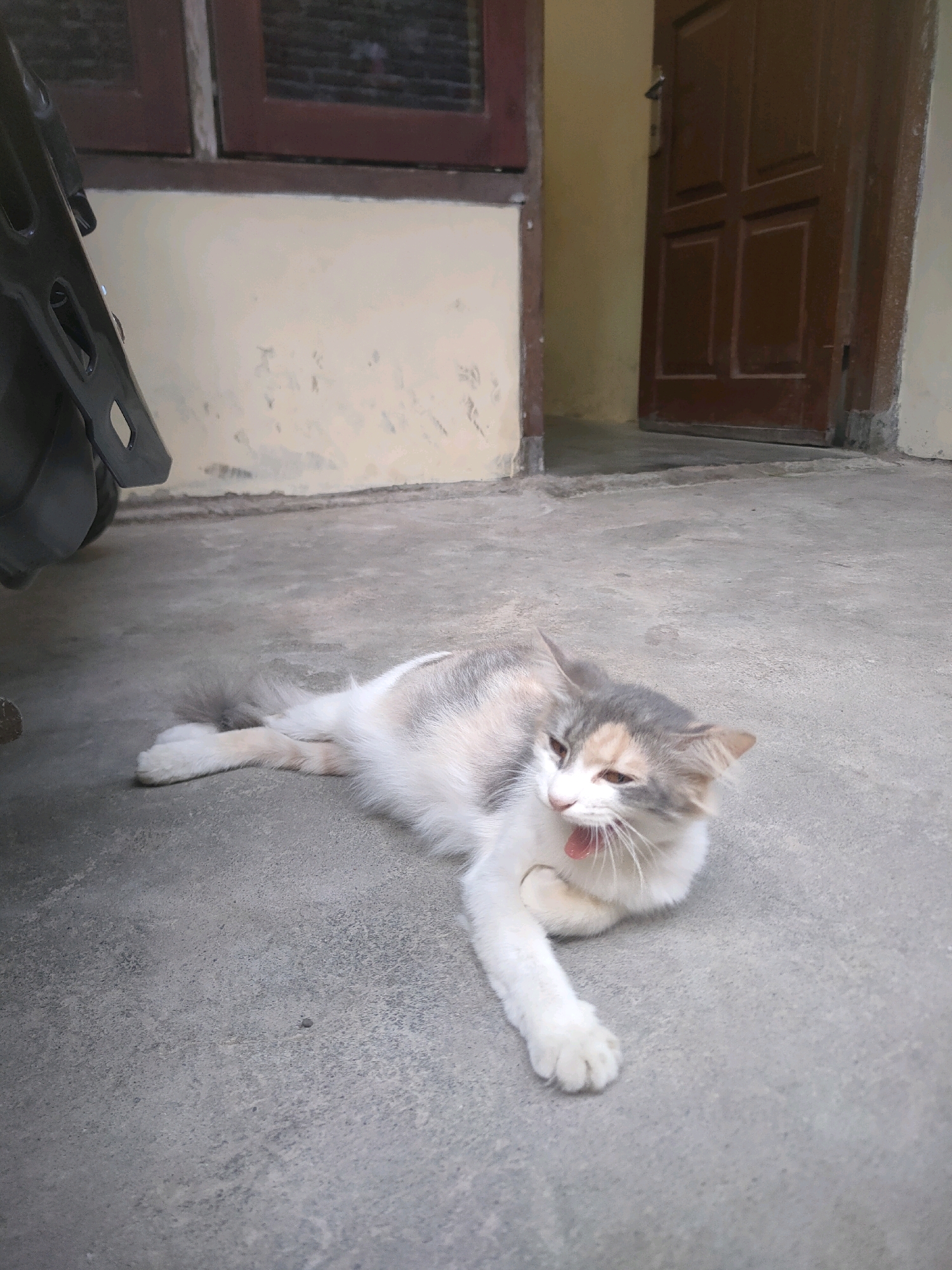 Memory