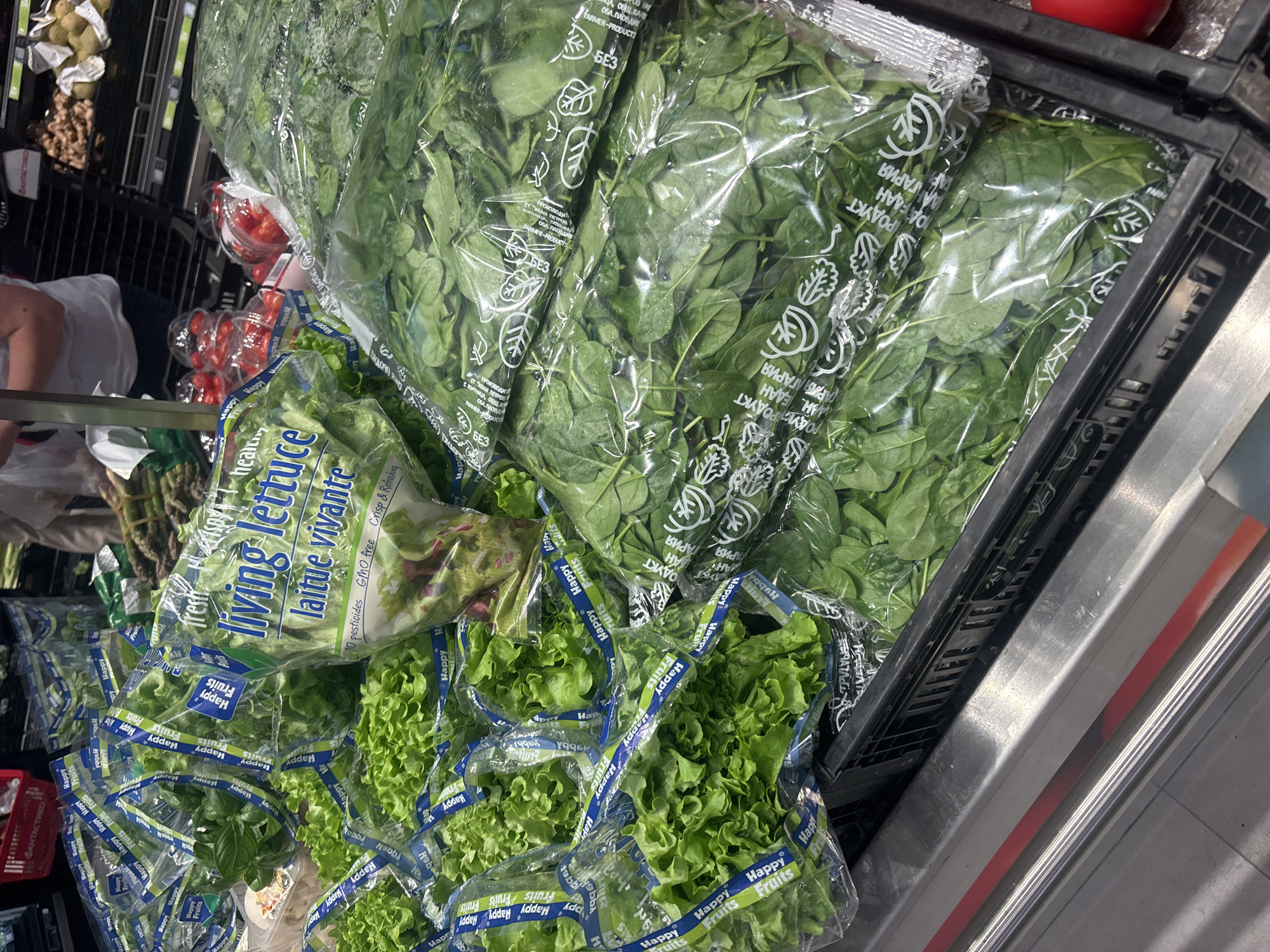 The image shows a variety of bagged produce in a grocery store display. Several bags of spinach are visible, labeled in Bulgarian. Bags of lettuce, marked "Happy Fruits" and "living lettuce / laitue vivante," are also displayed. The labels indicate the produce is "GMO free." A shelf of tomatoes and fruit is partially visible in the background. The location is potentially the "ФАНТАСТИКО" mentioned in the ocr in the city of Plovdiv, Bulgaria according to the labels, based on the produce origin information.