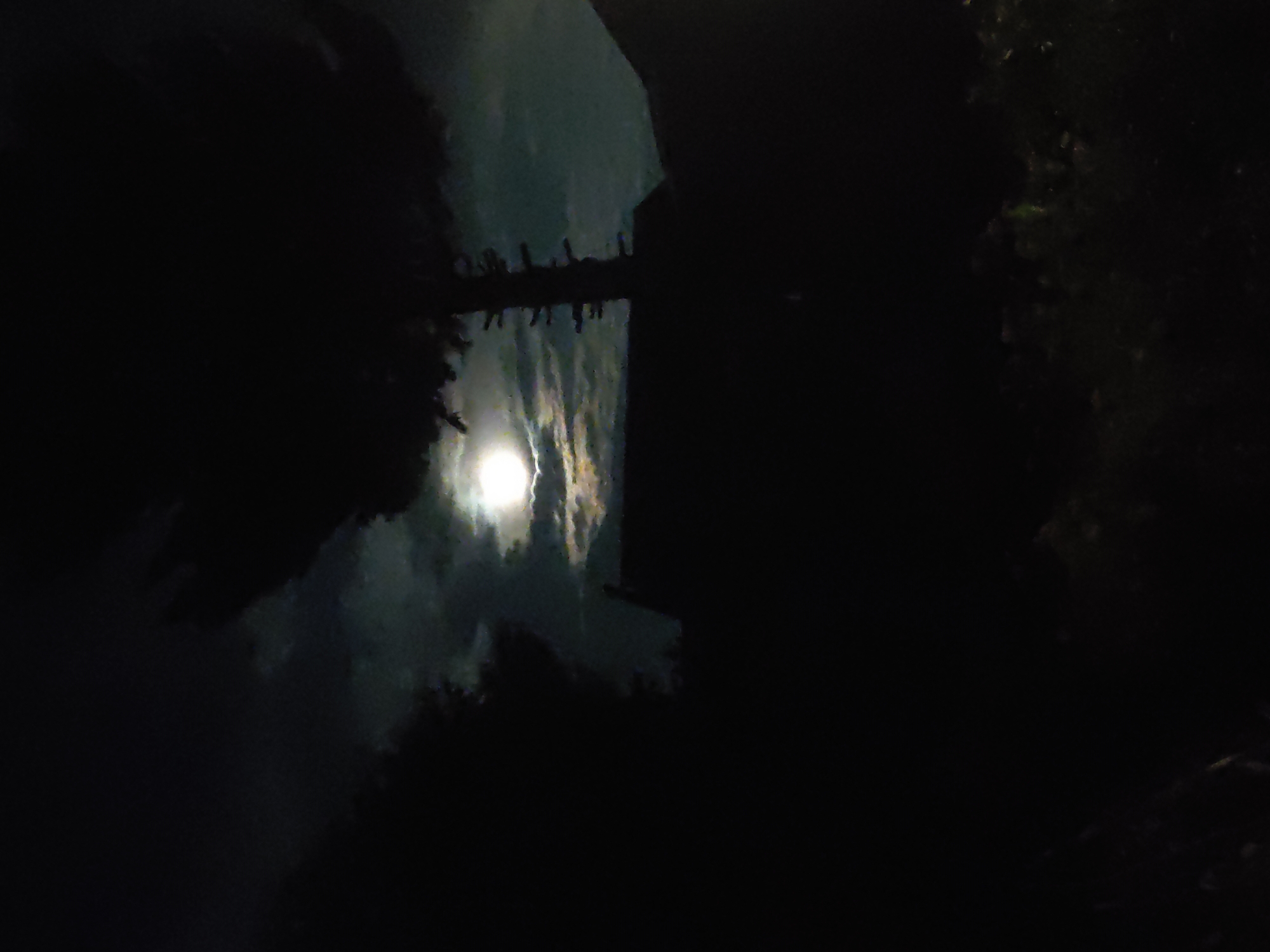 The image captures a nighttime scene with a bright moon partially obscured by clouds, casting an eerie glow over a dark landscape. A silhouette of a large tree with distinct branches stands prominently in the foreground, to the right of the frame. Behind the tree, the roofline of a structure, possibly a house, is faintly visible. The overall atmosphere is one of deep darkness, with the moon and scattered clouds being the primary sources of light. The location in Ridder, Kazakhstan is not identifiable from the visual information provided in the image.