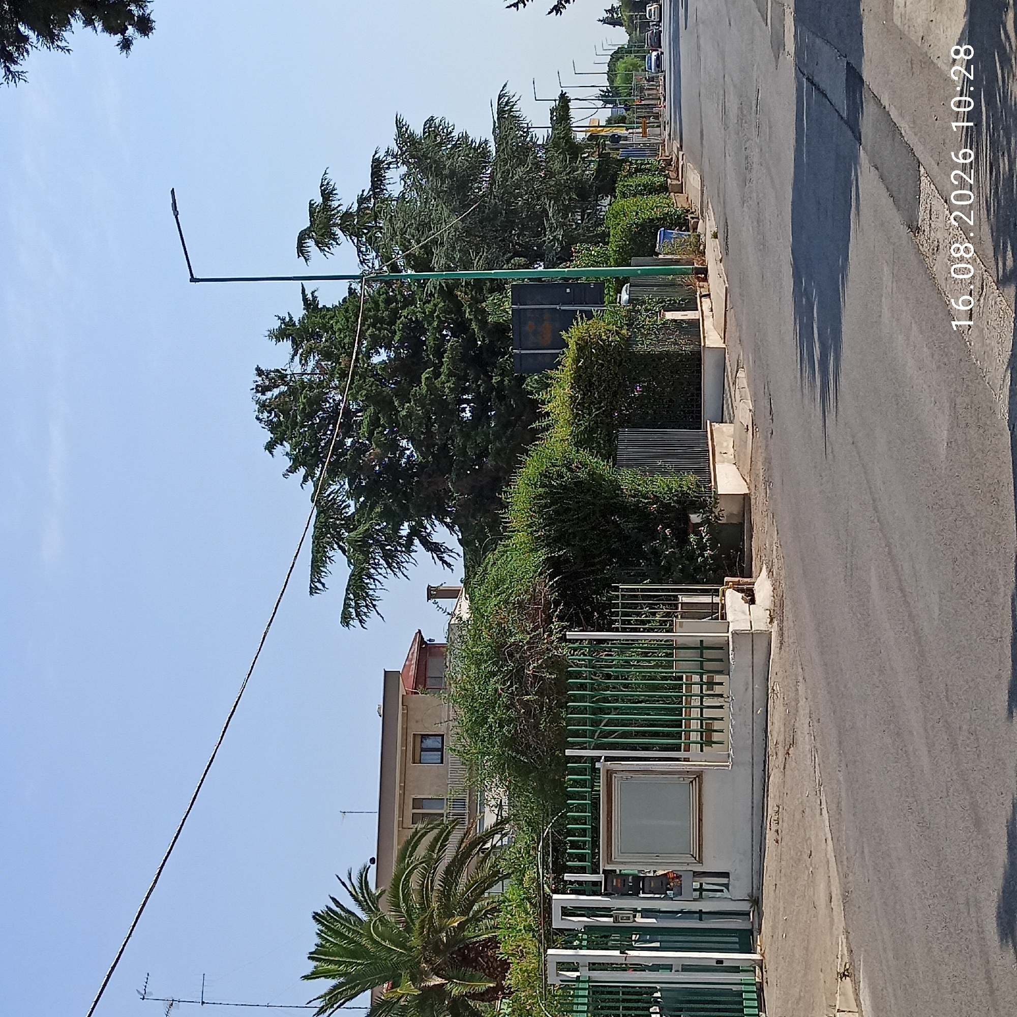 The image depicts a street scene in Terlizzi, Italy, with a date stamp of August 16, 2026, at 10:28 AM. The foreground shows an asphalt road with some patches and cracks, bordered by a sidewalk and vegetation. On the left side of the road, there is a green metal fence with white posts. Behind the fence, there is a building with a balcony and a palm tree. Further back, several large evergreen trees are visible, along with a street lamp and a row of more street lamps receding down the road. On the right side of the road, there are other buildings and more evergreen trees. Several cars are visible on the road in the distance. The sky is clear and blue.