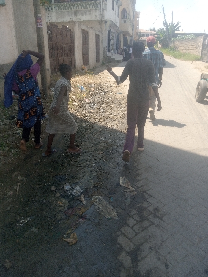 The image portrays a daytime street scene in Mtopanga ward, Kenya. Five individuals are in motion. On the left, an individual in a blue patterned garment over a pink top and dark trousers, with a blue head covering, walks barefoot on an unpaved, debris-strewn ground patch, holding the head covering with a raised left arm. Adjacent and slightly ahead, a child in a light-colored sleeveless dress walks on the same unpaved surface, with visible sandals on their right foot.
To the right, a paved road with interlocking bricks is visible. A person in a dark long-sleeved top with white arm stripes and purple trousers walks away from the viewer on this paved surface, with their right arm slightly raised. Behind them, another individual in a red cap, plaid short-sleeved shirt, and light trousers also walks away. A fifth person's lower body is partially visible behind the second individual on the paved road.
The unpaved ground on the left is extensively littered with plastic waste, fabric scraps, and other refuse, including a dark, wet area of standing liquid and debris in the immediate foreground. Buildings line the left side, featuring multi-story structures with several dark, gated entrances and some decorative balconies. A utility pole is present on the far left. The background includes additional buildings, a block wall, and sparse tropical vegetation. Strong sunlight creates distinct shadows on the paved road and behind the walking figures.