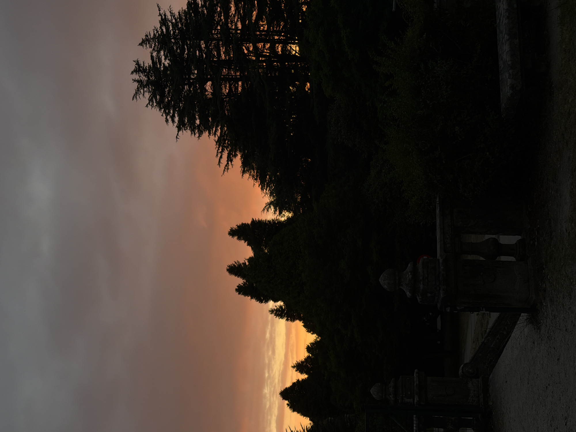 The image depicts a sunset over a park-like setting with prominent evergreen trees silhouetted against a dramatic sky. The sky displays a gradient of colors, transitioning from a deep orange near the horizon to a muted grey at the top, with wispy clouds. In the foreground, the dark shapes of ornate stone structures, possibly part of a gate or fence, are visible. These structures are detailed with carved elements, suggesting a historical or formal garden. The overall mood is serene and somewhat somber, characteristic of dusk. The location is identified as a park in Santiago de Compostela, Spain, implying a European context for the architecture and vegetation. No people are visible in the frame.