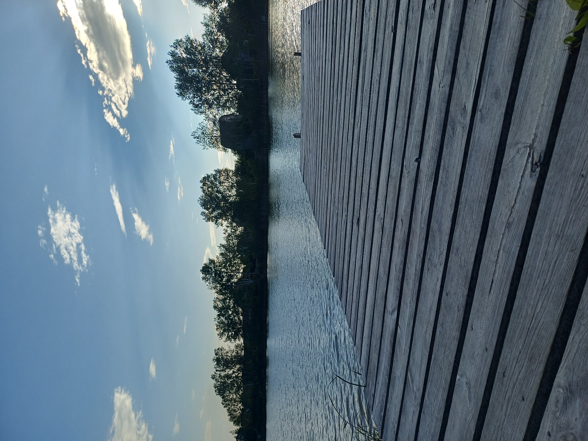 The image depicts a wooden pier extending into a calm body of water, likely a lake or river, under a clear blue sky with scattered white clouds. The pier is constructed of weathered gray wooden planks laid horizontally. In the background, a line of trees forms a dense, dark silhouette against the sky. Some structures, possibly buildings or a barn, are partially visible nestled within the treeline. The water surface shows gentle ripples, reflecting the light from the sky. The scene appears to be set in a natural or semi-rural environment, possibly on the outskirts of the city of Sulymivka, Ukraine, given the context. There are no people or animals visible in the frame. The lighting suggests it is either early morning or late afternoon.
