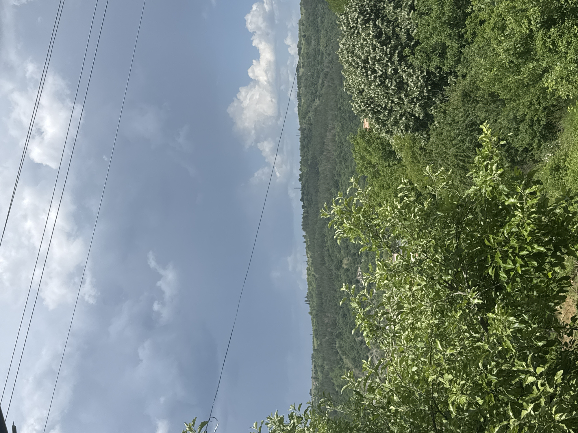 The image shows an outdoor scene, likely in a rural or suburban area near Belovo, Bulgaria, given the presence of green hills and vegetation. The sky is partially cloudy with what appear to be electrical power lines running through the upper-left portion of the frame. Lush green trees and shrubs fill the right side of the image, obstructing a clearer view of the landscape. The hills in the background are covered with dense greenery, indicating a heavily vegetated area. There is no visible presence of people or animals. The setting suggests a natural environment on the outskirts of or near Belovo, Bulgaria.