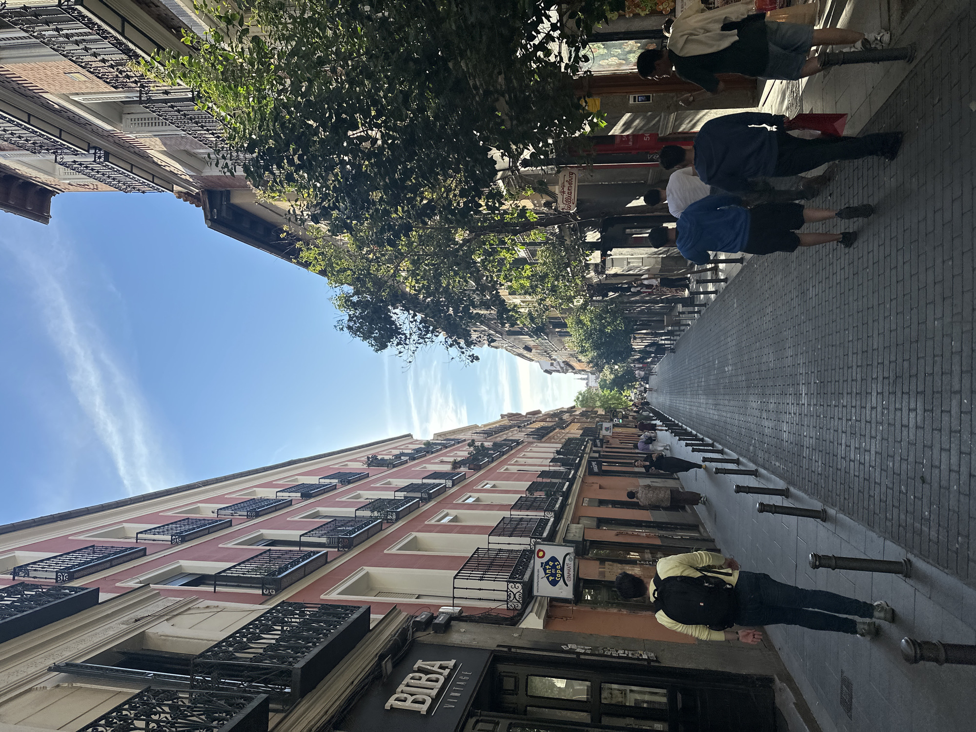 The image depicts a street scene in Madrid, Spain, taken from a slightly tilted, low-angle perspective. The street is lined with buildings, primarily featuring facades with reddish-pink hues and wrought-iron balconies. The sky is visible between the buildings, showing a clear blue color with some wispy clouds.
People are present on the right side of the street, walking along the sidewalk. The sidewalk is paved with dark gray bricks. Metal bollards are spaced along the edge of the sidewalk.
Signs and shopfronts are visible, including one for "BIBA VINTAGE." Trees line the street, with their foliage forming a canopy overhead, casting shadows on the street and sidewalk. The photograph seems to be taken during daytime, with ample sunlight illuminating the scene.