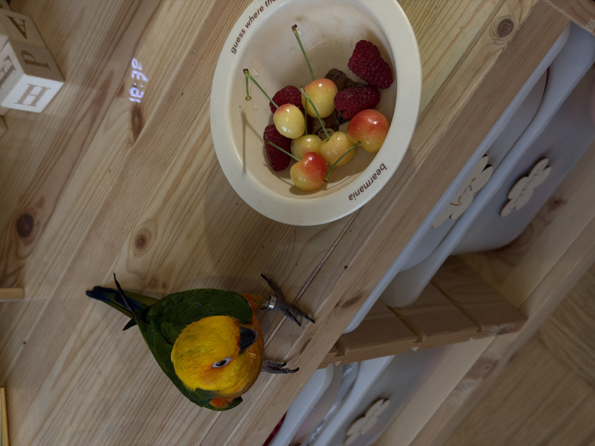 An overhead shot shows a sun conure parrot perched on a wooden shelf. The parrot is predominantly green and yellow with orange on its face. It wears a silver band on its left leg. To the right of the parrot, a white bowl contains several red raspberries and yellow and red cherries. The bowl has red text reading "bearmania" on the left and "guess where the" on the right. In the background, several wooden blocks with letters are visible. A digital clock projection on the wooden surface shows the time "18:38". The environment appears to be indoors, possibly a home, with wooden flooring and shelves. There is no indication of a specific location in Khimki, Russia.