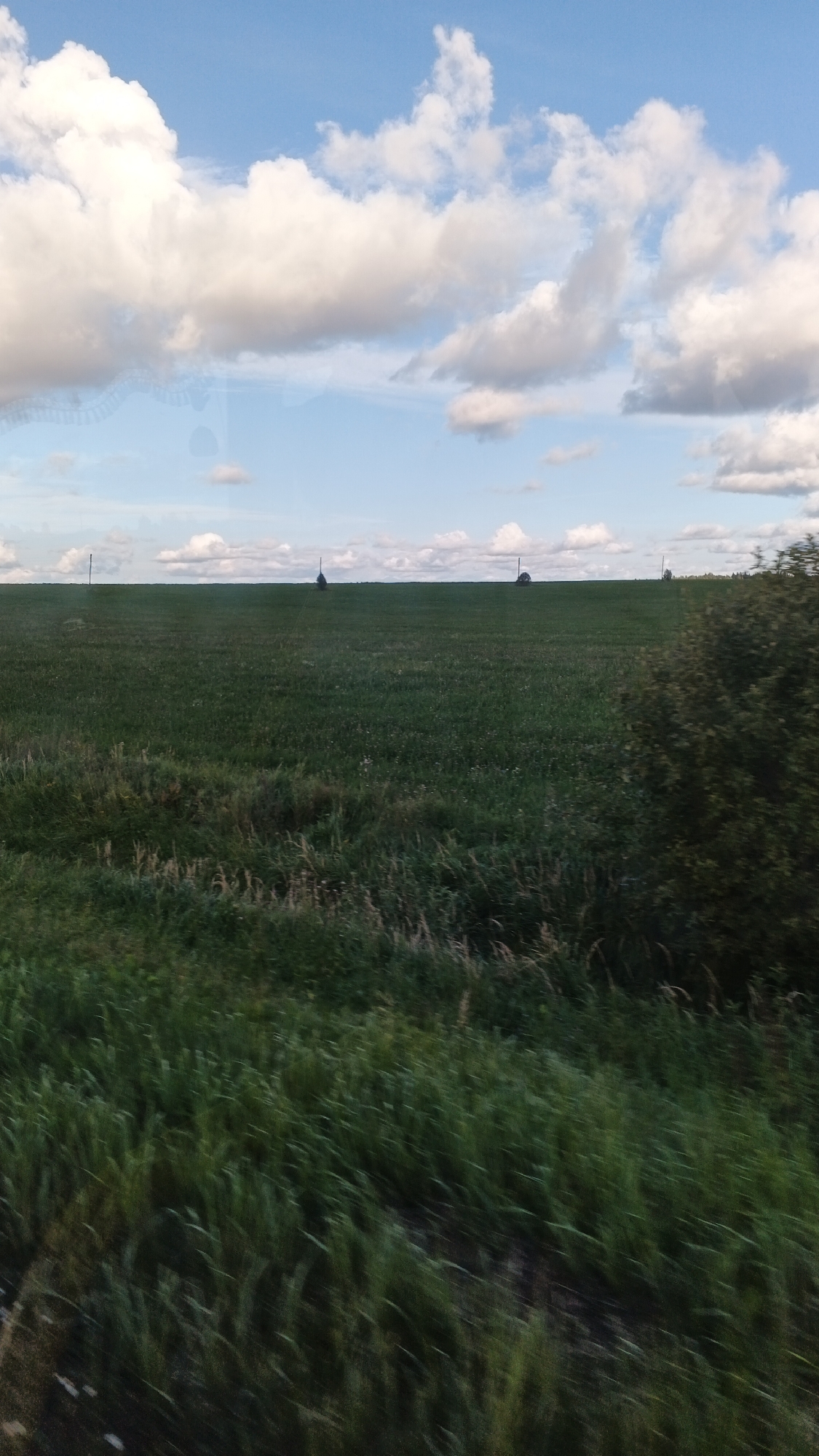 The image shows a wide green field under a blue sky with white clouds. There are several objects that appear to be hay bales in the distance on the horizon. A few trees or bushes are visible on the right side of the frame. The foreground is filled with tall green grass and some blurry elements, suggesting movement, possibly from a vehicle. The overall scene depicts a rural landscape. The location is identified as Klyasovo, Russia, likely a rural area within or near the settlement.