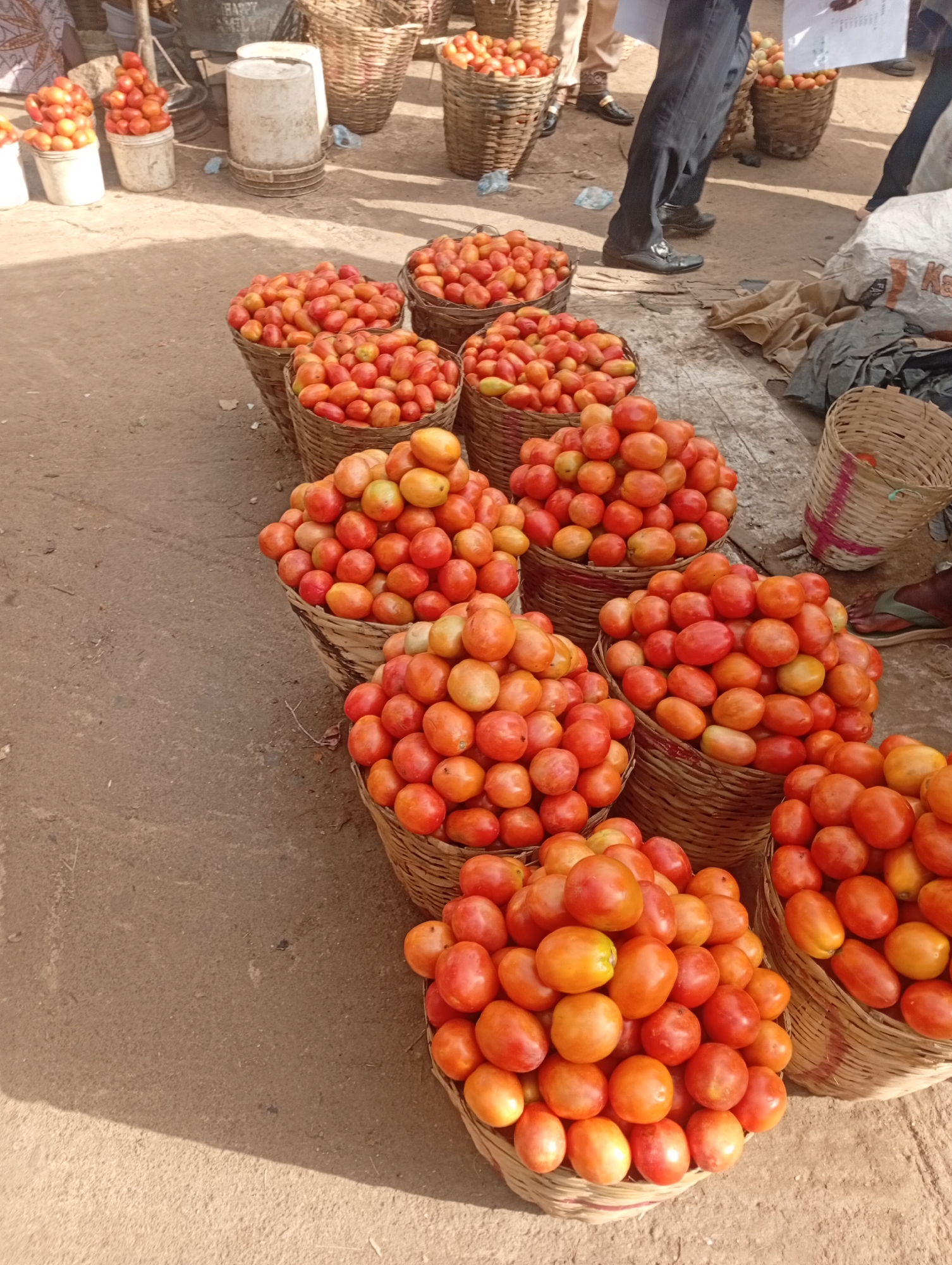 In Rafin Par, Nigeria, a market stall displays numerous woven baskets overflowing with ripe tomatoes. The tomatoes are predominantly red and orange, with some exhibiting greenish hues, indicating varying stages of ripeness. They are arranged in large, circular mounds within the baskets. The baskets themselves are made of natural fibers and vary in size and depth. In the background, several white plastic buckets also contain tomatoes. A person's legs, clad in dark trousers and black shoes, are visible walking through the scene. Another person's legs, wearing sandals, are also partially visible on the right. The ground is covered in a dry, dusty surface, typical of an outdoor market. The lighting suggests it is daytime, with some shadows cast on the ground. The overall impression is a vibrant agricultural market focused on the sale of fresh produce.