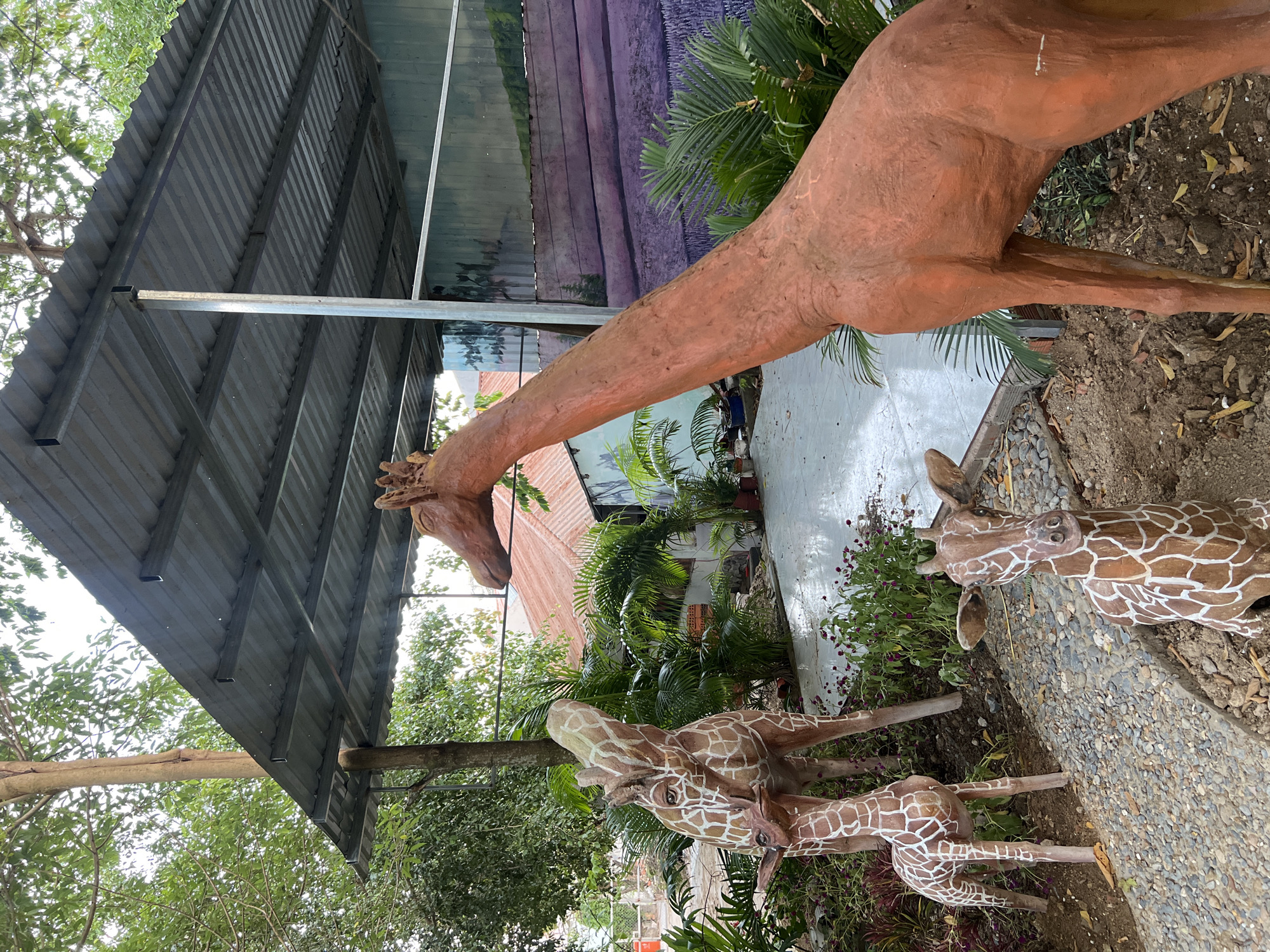 The scene depicts an outdoor decorative area in Nha Trang, Vietnam, featuring four giraffe statues within a landscaped environment. On the right, a large, unpainted reddish-brown giraffe statue stands, its head and upper neck visible, oriented towards the left. In the center-left, a medium-sized giraffe statue, painted with white and brown patterns, stands looking upward and to the left, with a smaller, similarly patterned giraffe calf statue positioned beneath its head, also standing. In the foreground, a fourth small giraffe statue, painted with white and brown patterns, lies on the ground.
The ground consists of a concrete pathway, a gravel section, and patches of exposed dirt with scattered dry leaves. Various green plants, including palm trees and smaller shrubs with purple flowers, are interspersed among the statues. An overhead structure featuring a corrugated metal roof supported by metal beams and a tree trunk provides partial shade. In the background, a wall displays a mural depicting a landscape with purple fields and trees. Additional trees and structures with corrugated metal roofs are visible in the distance. The lighting is consistent with daylight conditions.