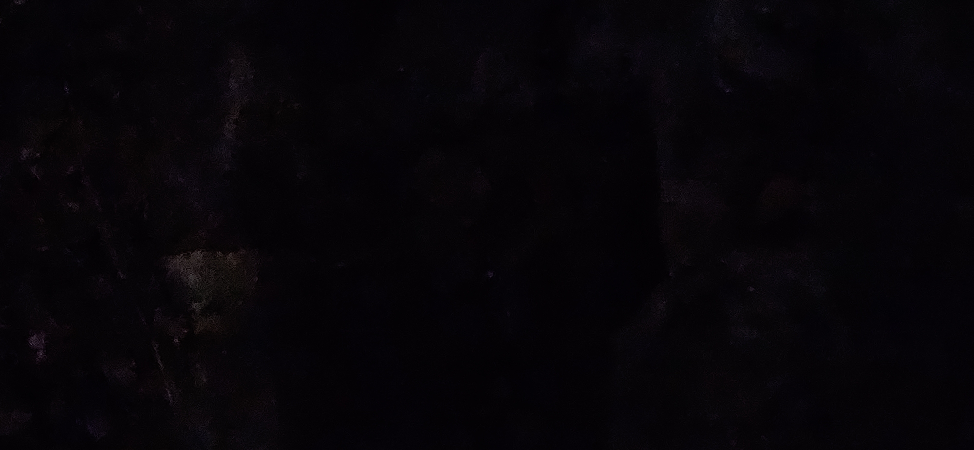 The media file presents an extremely dark, almost entirely black image, with several cropped sections offering no additional clarity. The primary visual characteristic is the profound lack of light, making it impossible to discern specific subjects, objects, or a clear scene.
Faint, irregular, and mottled patterns are vaguely visible across the dark background, appearing as subtle variations in shade and texture. These patterns are abstract and do not form recognizable shapes or figures, suggesting a textured surface rather than identifiable elements. Hints of very deep purple, dark grey, or reddish-brown hues are occasionally discernible within the overwhelming darkness.
No people or distinct objects are visible. No specific activity or event can be identified due to the extreme low-light conditions. There are no discernible notable details such as time of day, weather conditions, or location cues within the visual content of the image itself. No text is visible. The provided location context is Bac Nha Trang Ward, Vietnam, but this information cannot be inferred from the image's visual content.