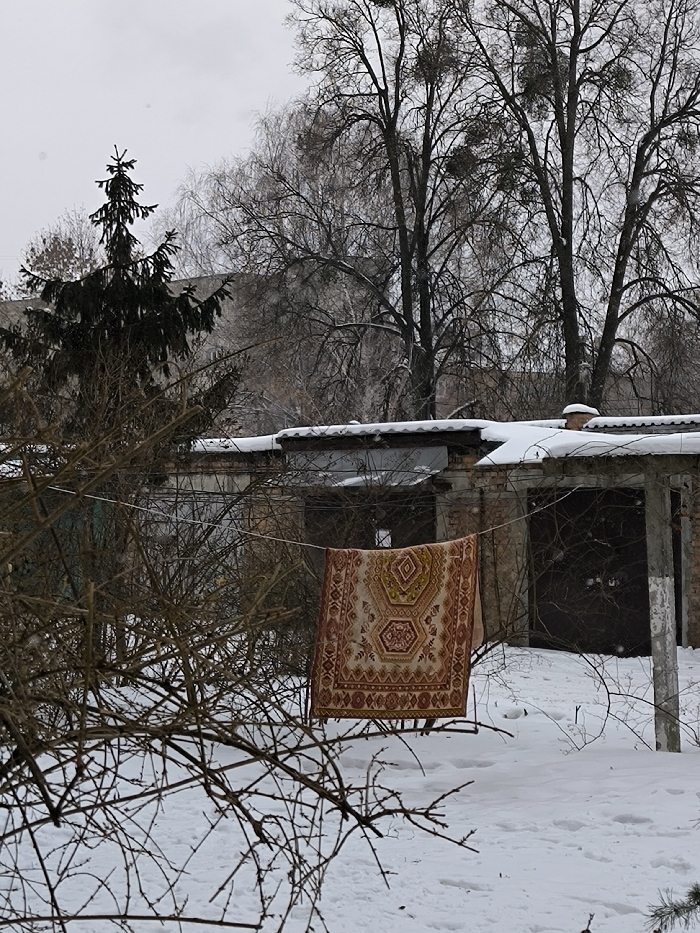 The image presents an outdoor winter scene in Vinnytsia, Ukraine. The ground is uniformly covered in snow under a light gray, overcast sky, with light snowfall visible as small white specks. In the foreground, numerous bare, thorny branches partially obscure the lower view. A rectangular, patterned rug, predominantly red, beige, and yellow with geometric and floral designs, hangs vertically from a clothesline in the midground. The clothesline is taut, stretching horizontally across the scene and supported on the right by a grey pole. Behind the rug, a row of weathered brick structures, likely garages or storage units, is visible. These structures have flat roofs covered with snow. One structure exhibits an open rectangular entrance, while an adjacent one has a dark, closed door. In the background, a dark green coniferous tree stands on the left. Numerous leafless deciduous trees with visible clumps of mistletoe in their branches rise above the structures. A multi-story building is faintly discernible in the far background, behind the trees and structures. No people are present.