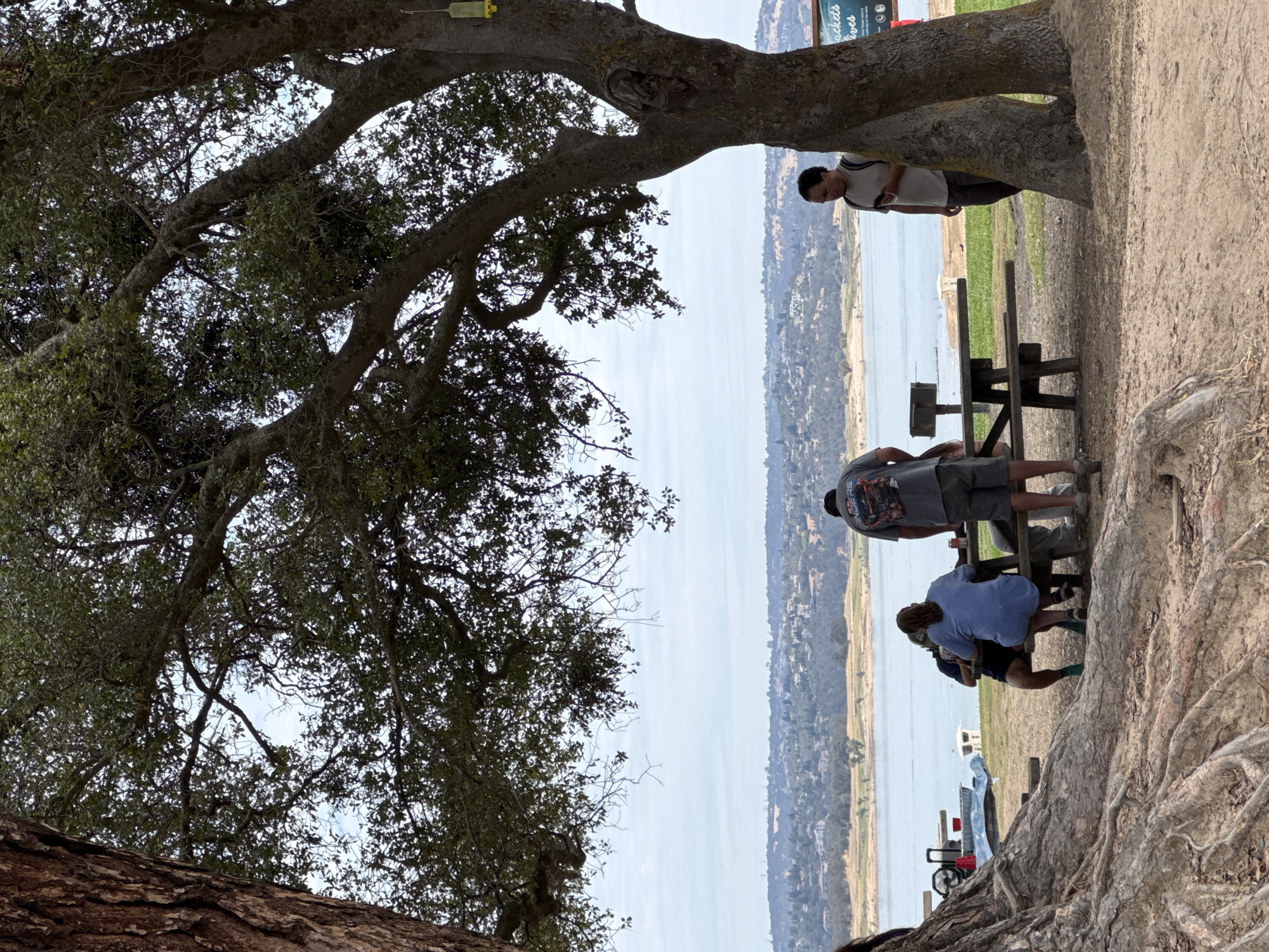 The image depicts a group of people gathered at a picnic table near a body of water, likely Folsom Lake, given the landscape which is characteristic of the Folsom, California area. In the foreground, a large tree with exposed roots dominates the left side of the frame. Several individuals are seated at a wooden picnic table, facing away from the camera, some engaged in conversation or eating. A man wearing a gray t-shirt with a graphic design stands near the table, looking down. To the right, another man stands near a large tree, holding a smartphone. Beyond the picnic area, a serene lake stretches out, with a distant shoreline dotted with houses and vegetation. The sky is overcast, suggesting a temperate day. The overall atmosphere is relaxed and casual, typical of a park or recreational area.