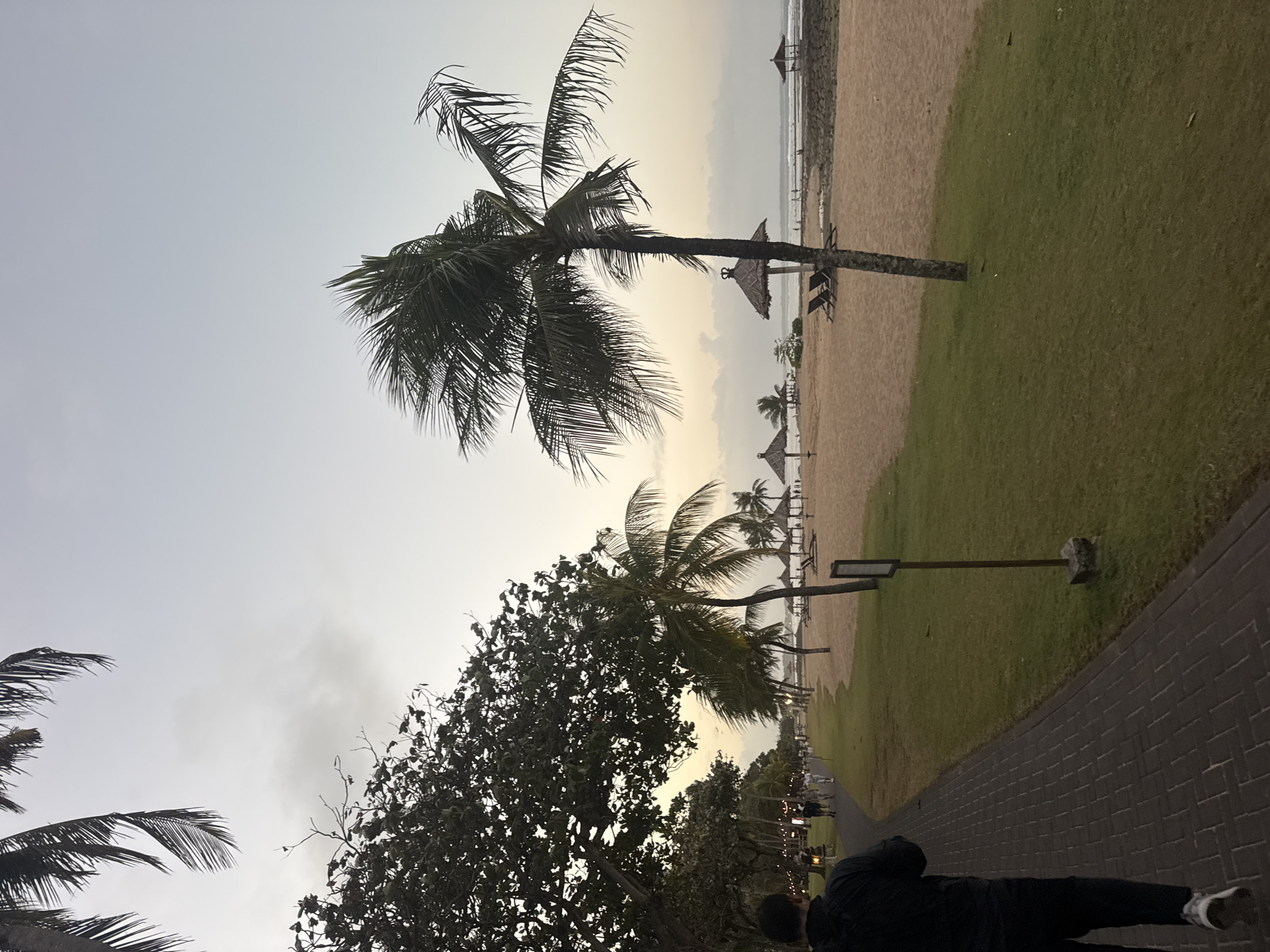 A person walks along a paved path next to a grassy area. To the right of the grassy area is a sandy beach with palm trees, thatched umbrellas, and lounge chairs. The ocean is visible in the distance, and the sky is overcast. The scene appears to be at dusk. This location is in Kuta Selatan, Indonesia.