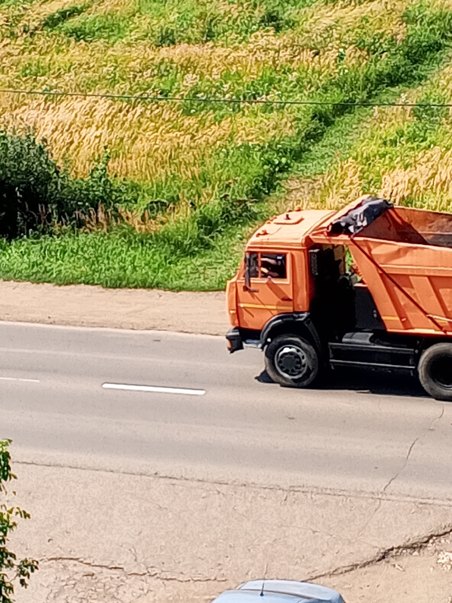 A bright orange dump truck with a black tarp covering its load is driving on a paved road. The truck is seen from the side, with its front wheels on the left and rear wheels on the right. The background consists of a grassy hill with patches of dry, yellow grass. The road appears to be a two-lane road with a white line marking the lanes. In the foreground, a small portion of a light blue car is visible. The scene is outdoors on a sunny day. The image is taken from a slightly elevated perspective, looking down at the truck and the road.