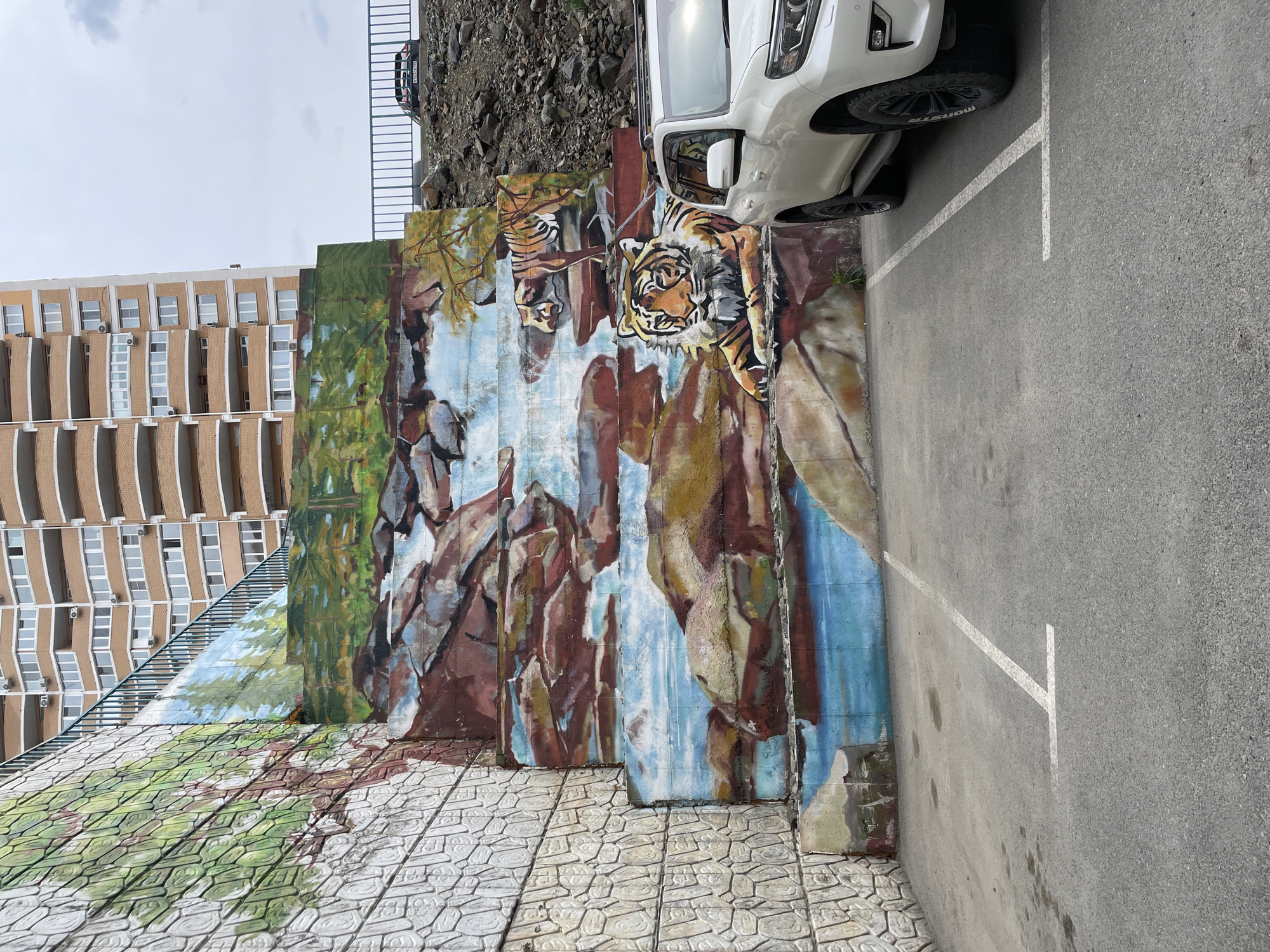 This image depicts a segment of a parking lot in Vladivostok, Russia, adjacent to a retaining wall adorned with a mural. The mural features a depiction of tigers in a rocky, forested environment with a waterfall or stream. A white SUV is partially parked in the space in front of the wall, with its front bumper positioned over the mural. In the background, a multi-story building with a facade of repeating window patterns is visible. The parking lot surface is made of asphalt with painted white parking space markers. Above the retaining wall, natural rock formations and some greenery are present. The sky appears overcast.
