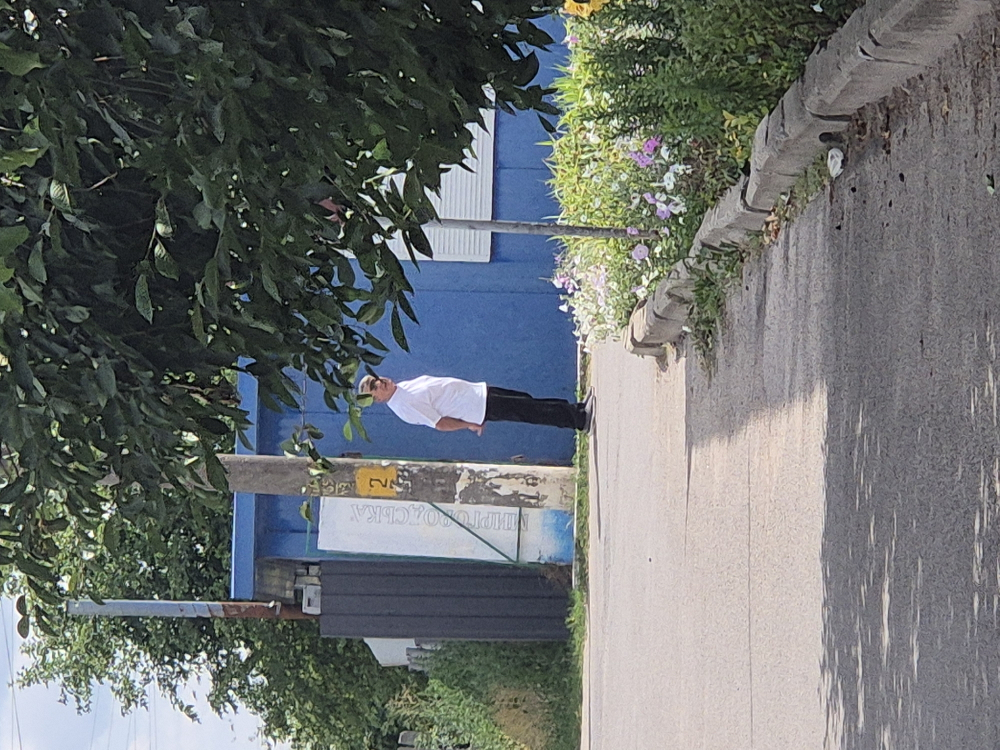 A full-body shot captures a man in a white short-sleeved polo shirt and black pants standing on a paved street. His hands are clasped behind his back, and he is looking to his right. Behind him, to the left, is a dark gray fence. To the right of the fence is a light-colored, rectangular object with Cyrillic text on it, mounted on a pole. Further to the right is a blue building with a white window. In front of the blue building and to the right of the man, there is a bed of green plants and pink and white flowers, bordered by a gray, concrete curb. The ground in the foreground is paved, and shadows from trees are cast across it. The overall scene appears to be an outdoor urban or semi-urban setting. The text on the object appears to be "ПРИГОРОДСЬКА" which can be translated as "suburban" in Ukrainian, and the number "2" is visible on the pole. This setting is consistent with the village of Sozonivka, Ukraine.